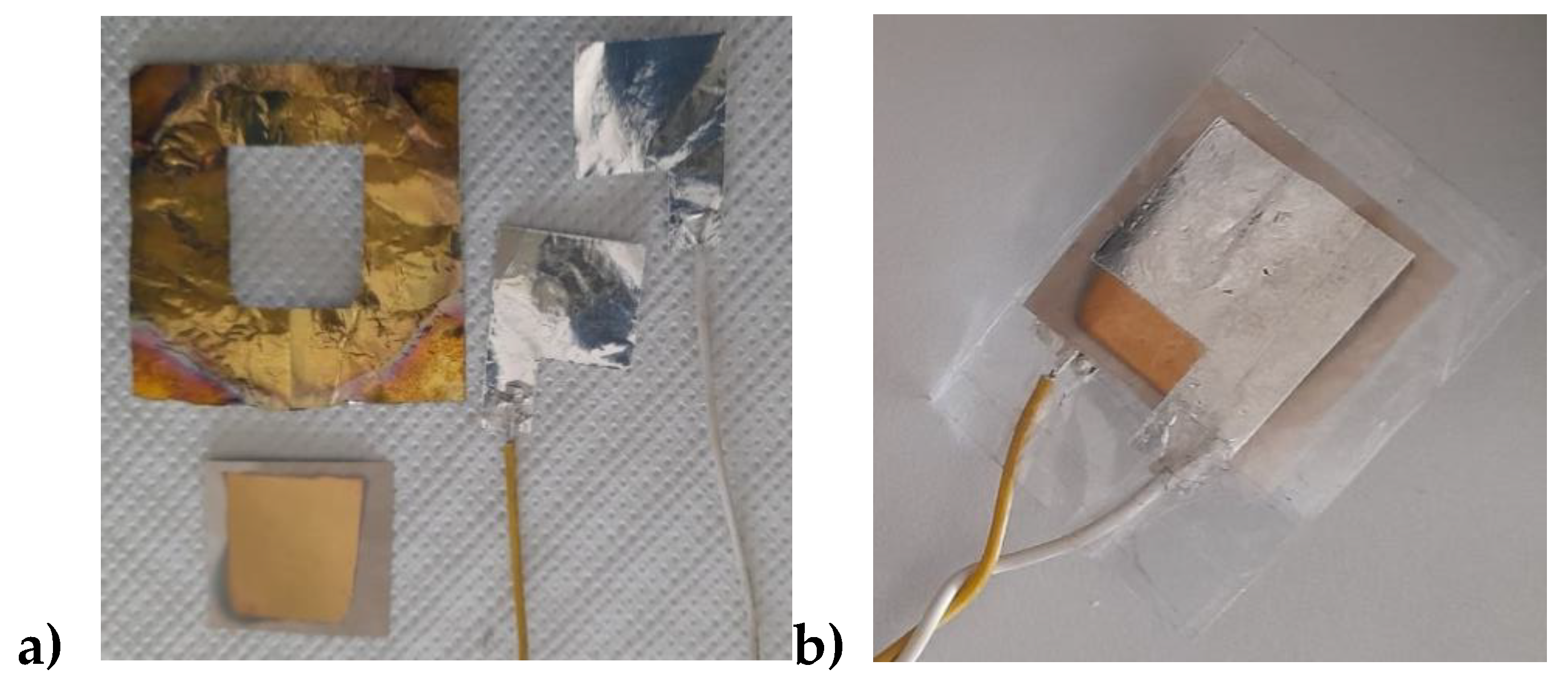 Preprints 190552 g016