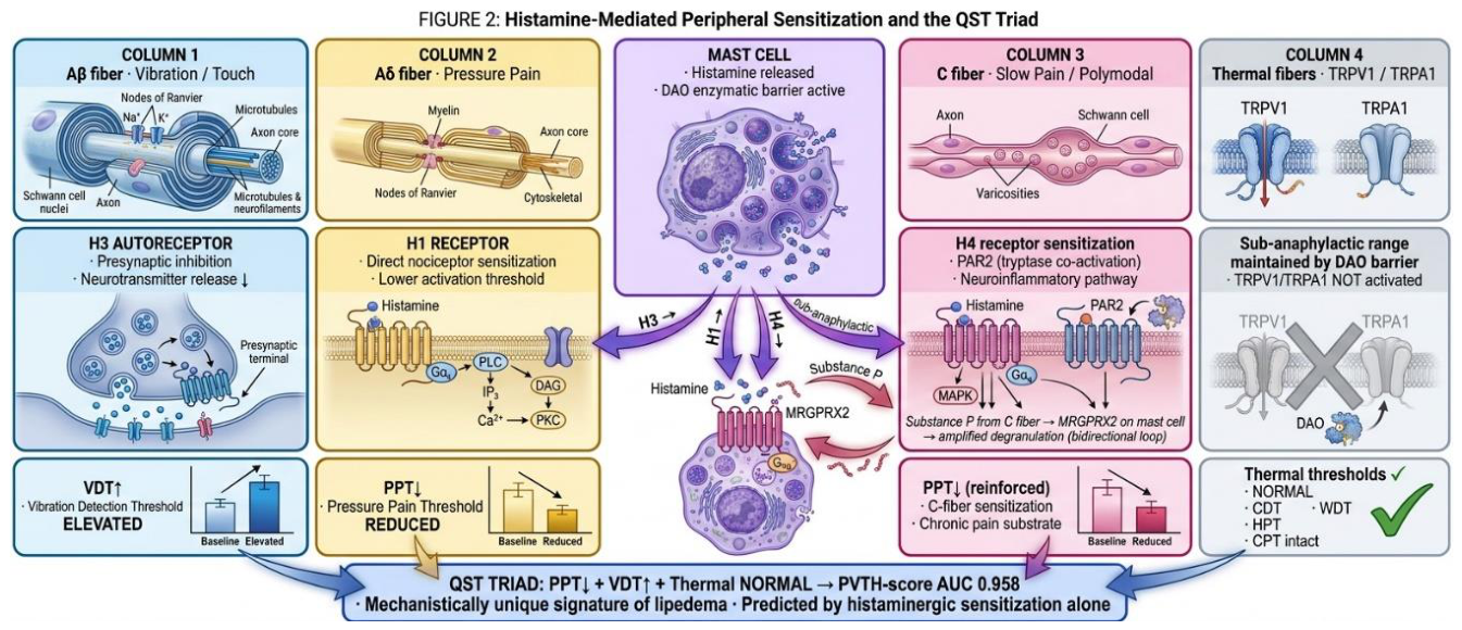 Preprints 221232 g002