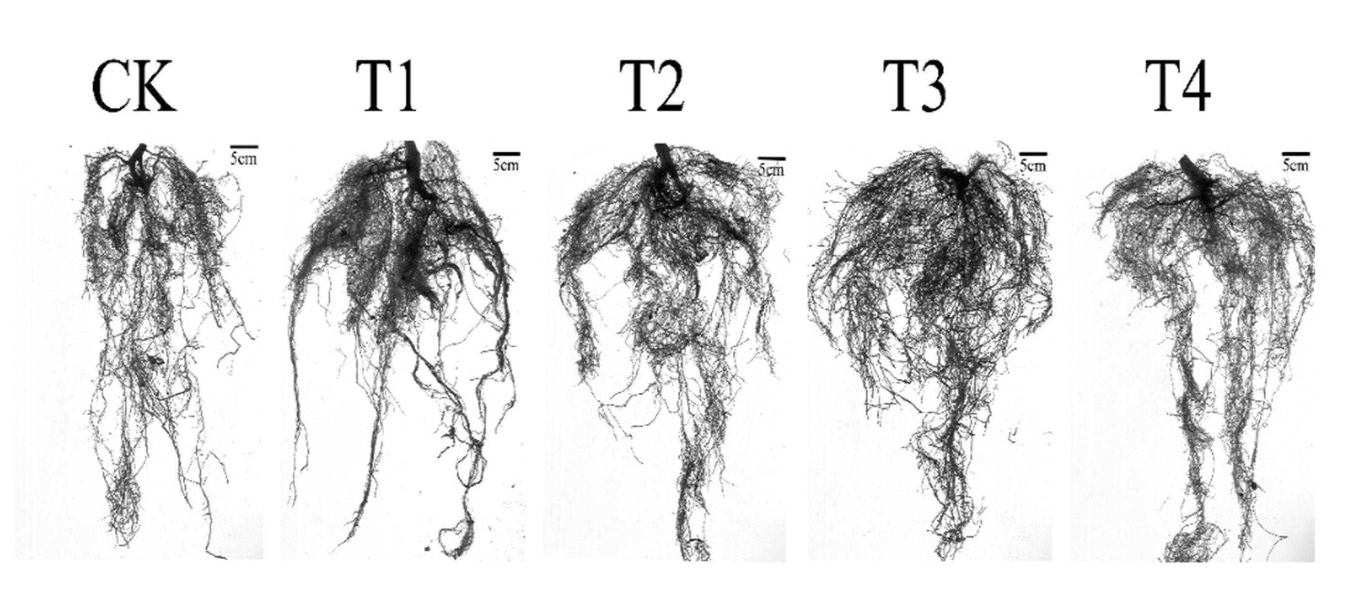 Preprints 163427 g003