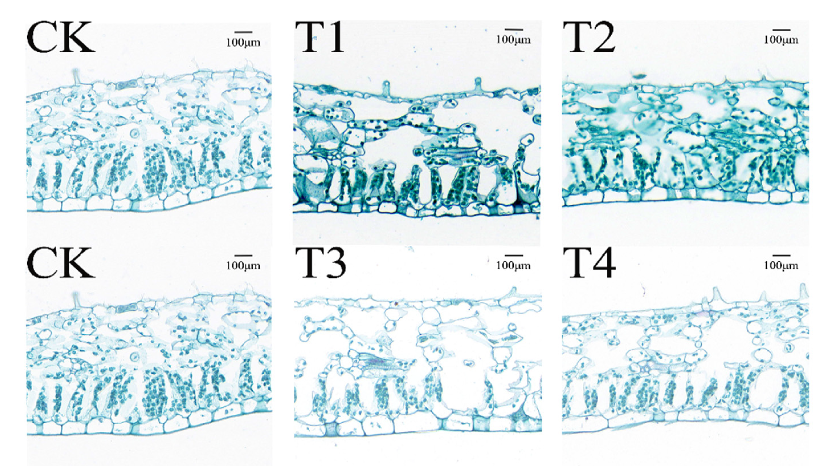 Preprints 163427 g009
