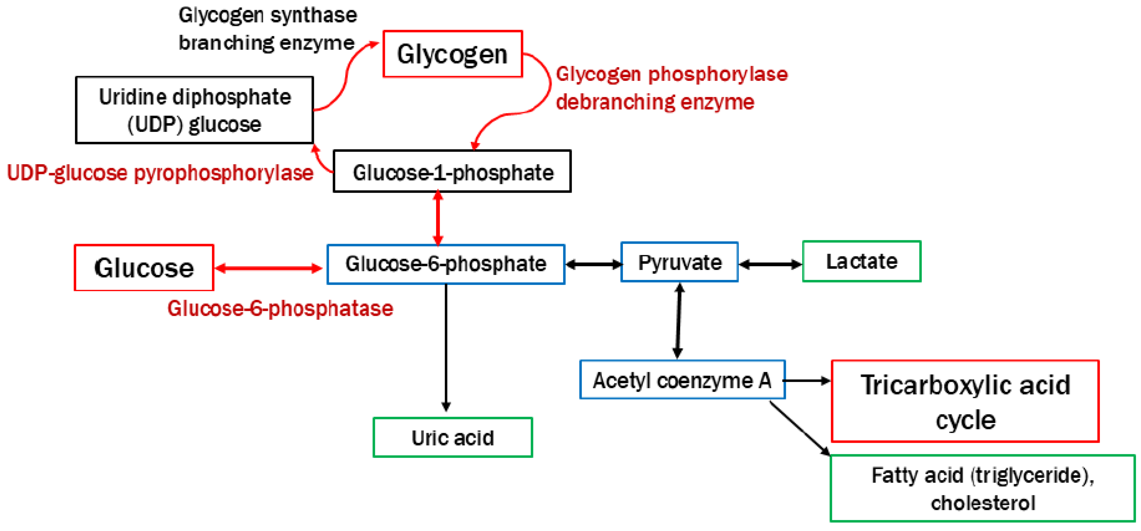 Preprints 147082 g001