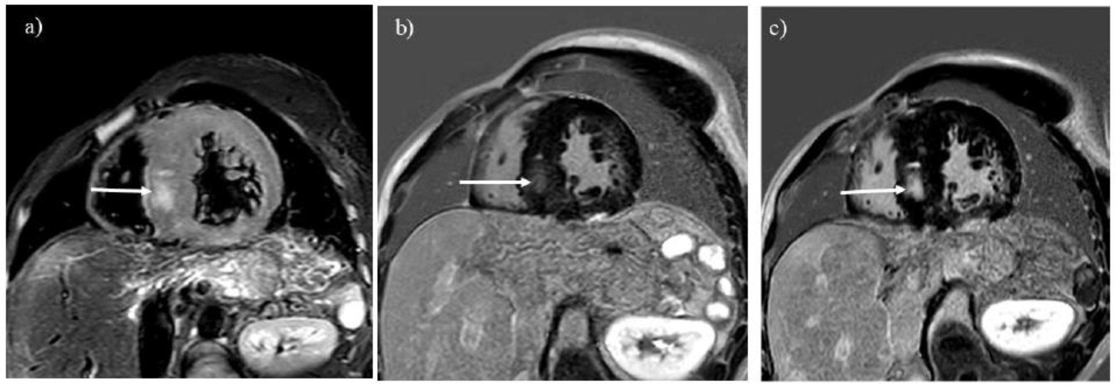 Preprints 147082 g004
