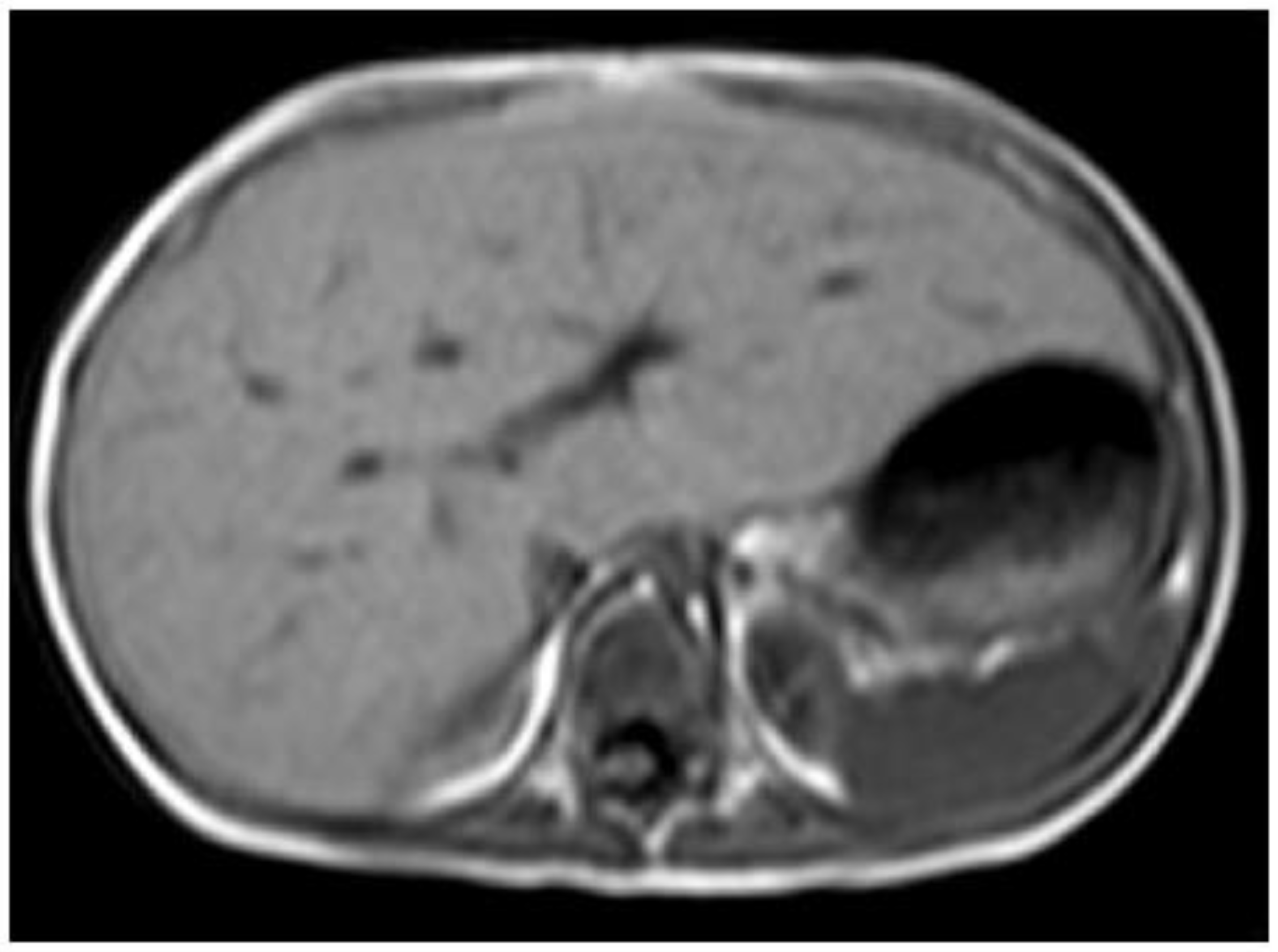 Preprints 147082 g005