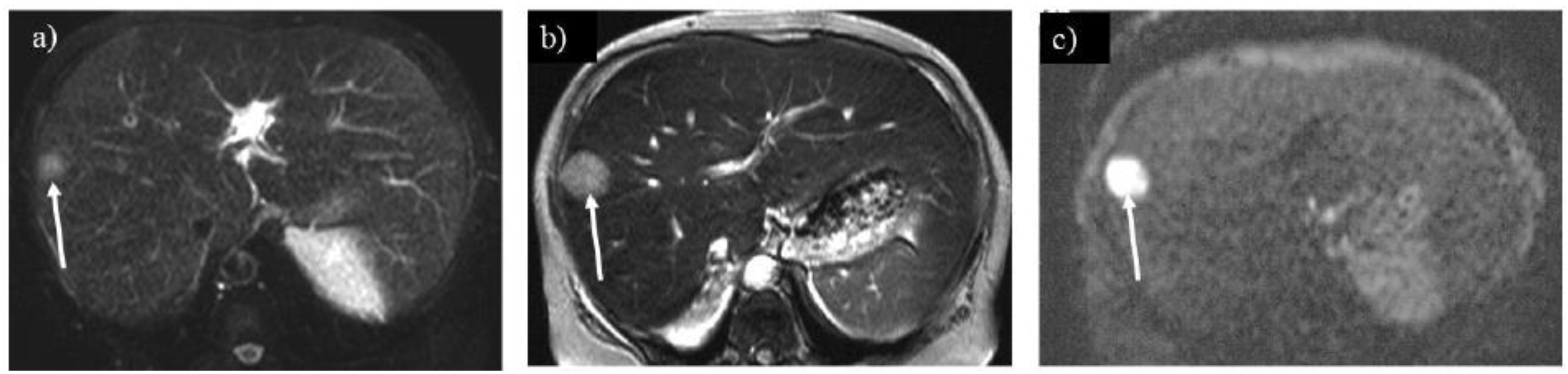 Preprints 147082 g008