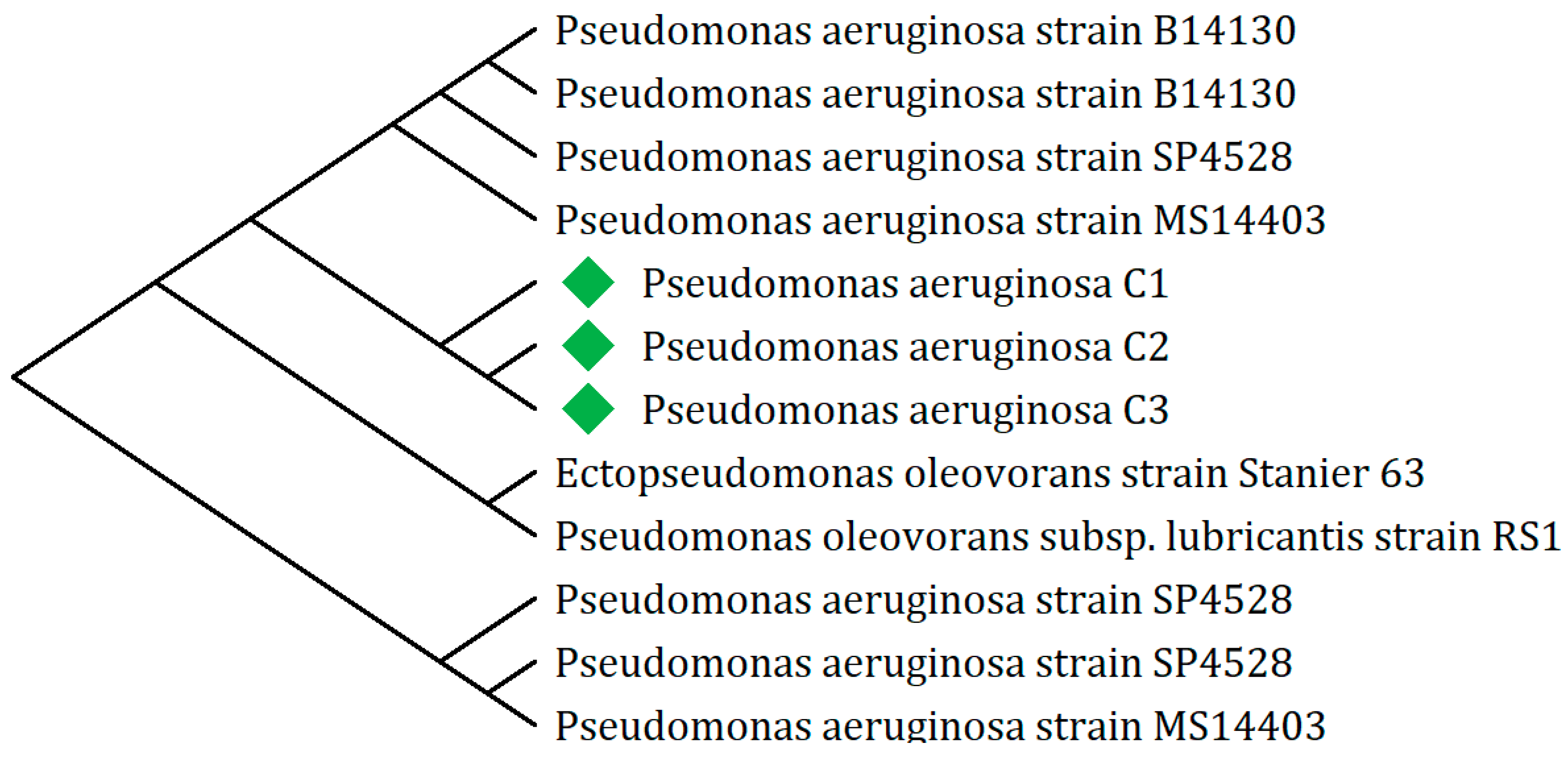 Preprints 171701 g003