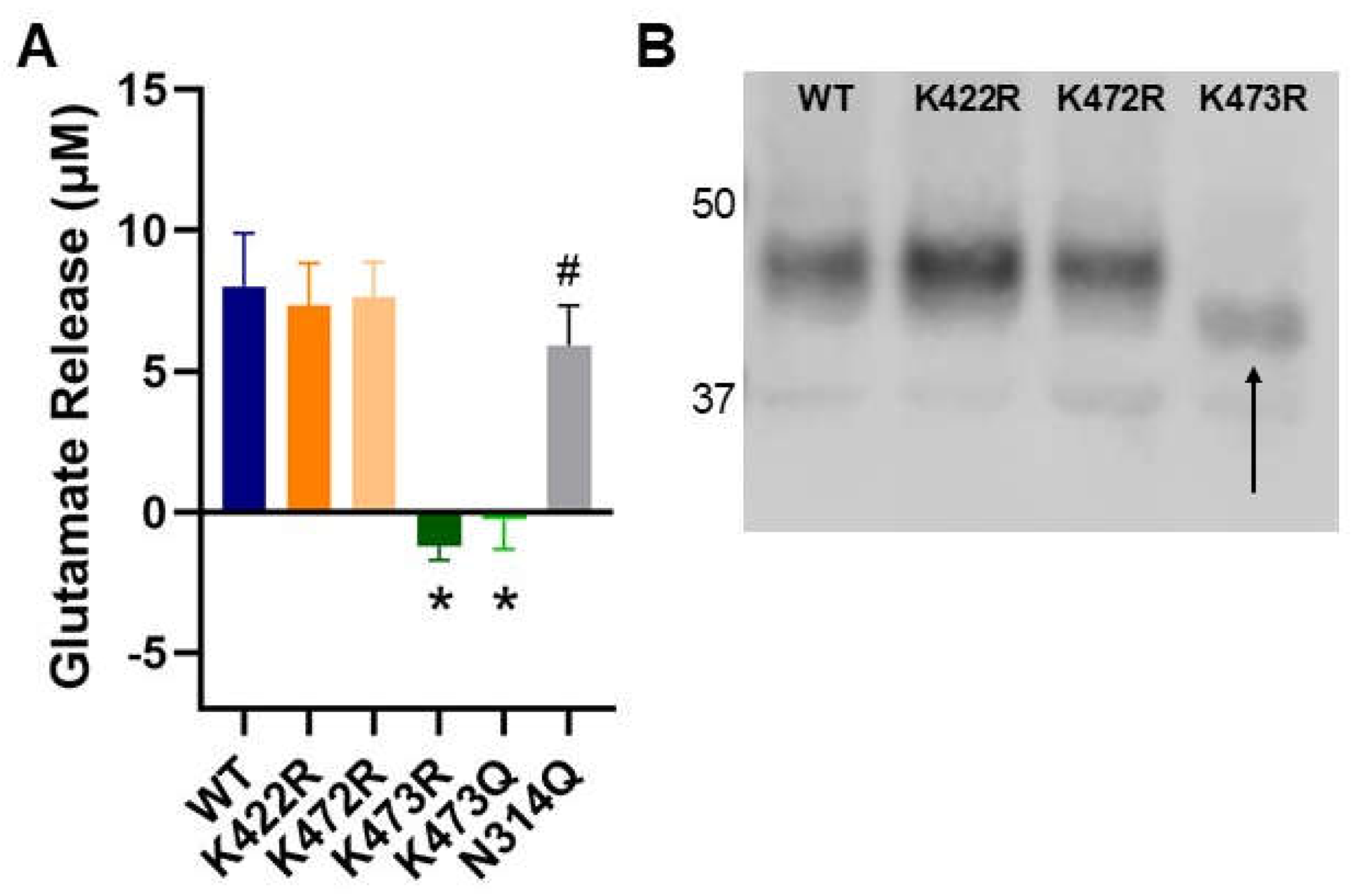 Preprints 114647 g002