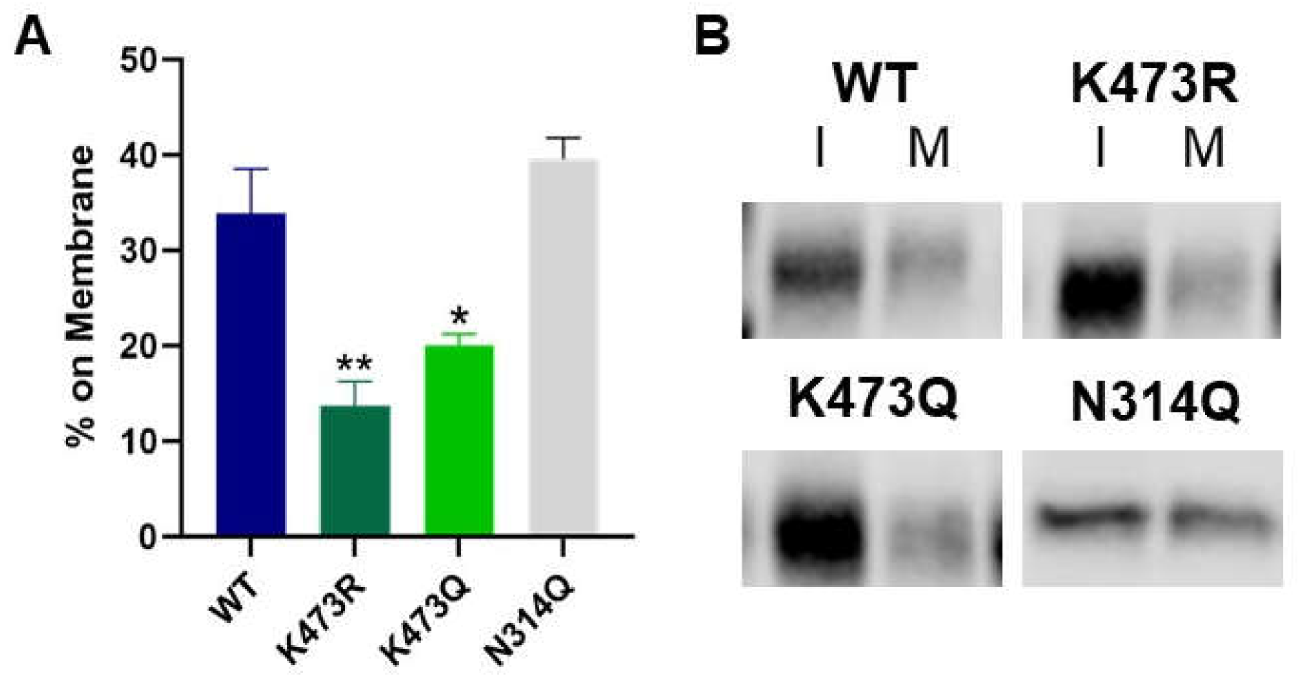 Preprints 114647 g003