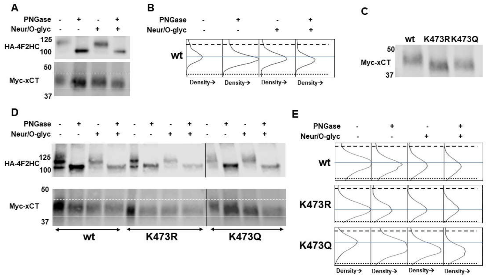Preprints 114647 g005