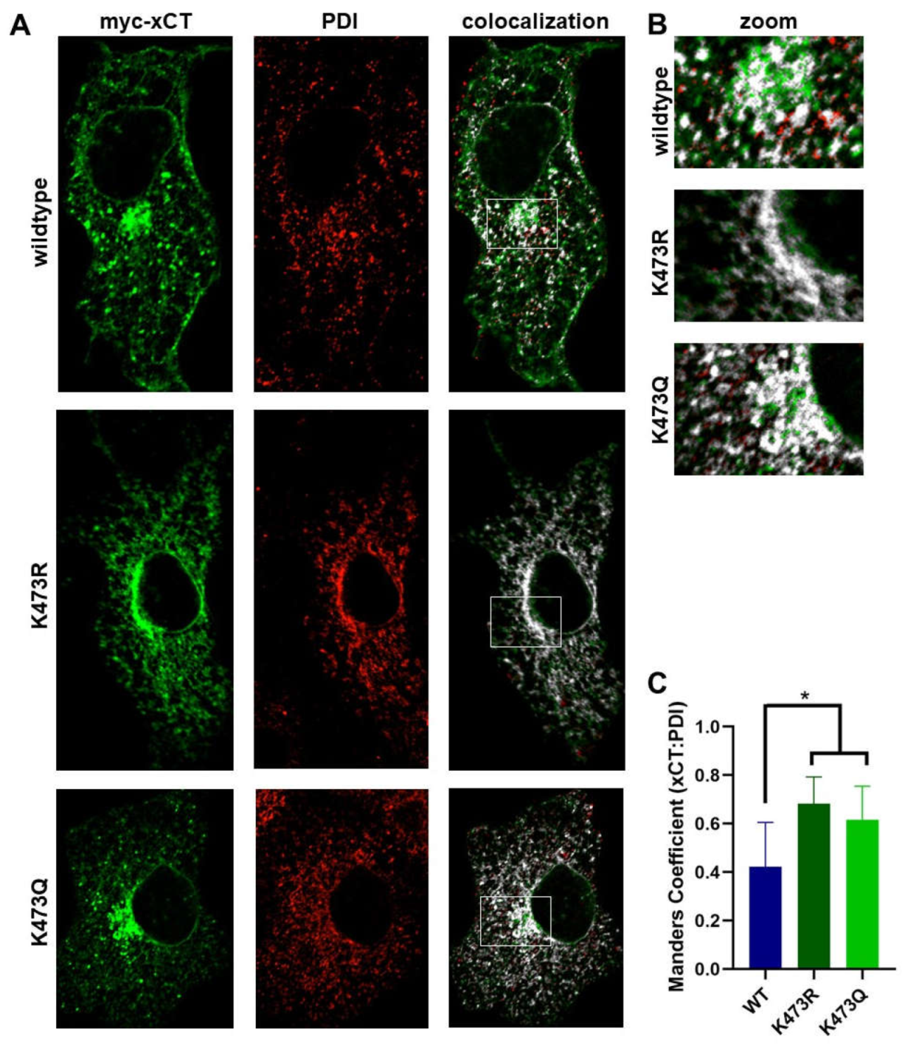 Preprints 114647 g007