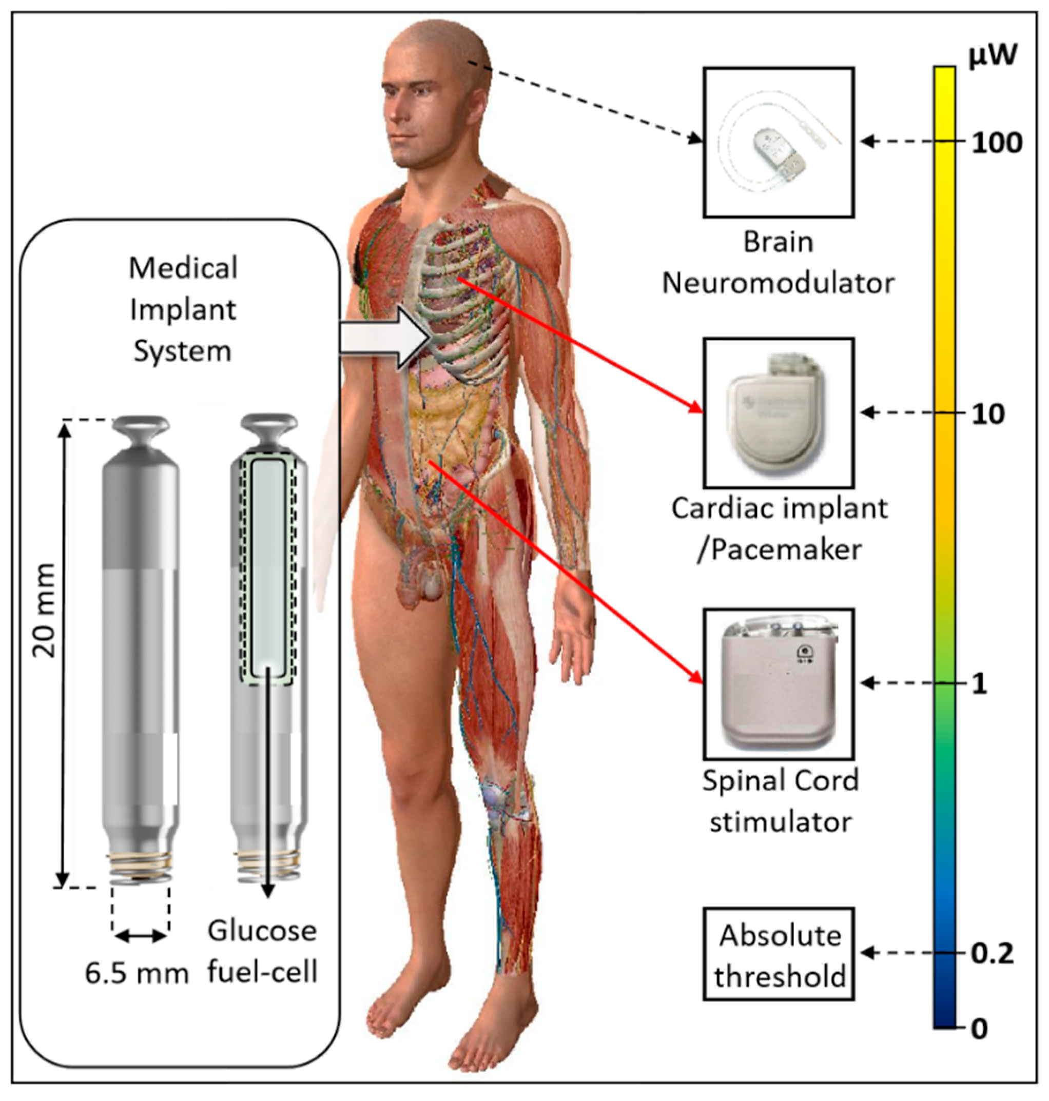 Preprints 174925 g001