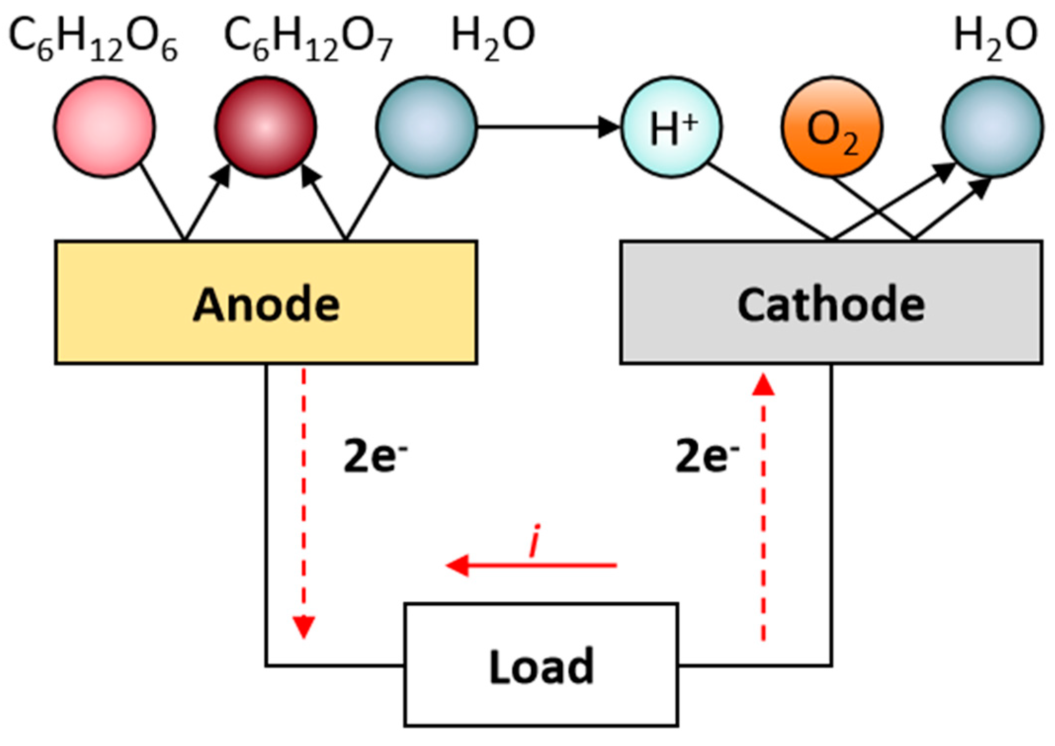 Preprints 174925 g002