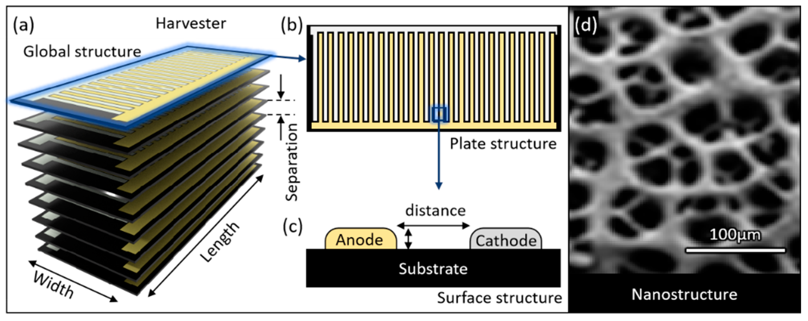 Preprints 174925 g004