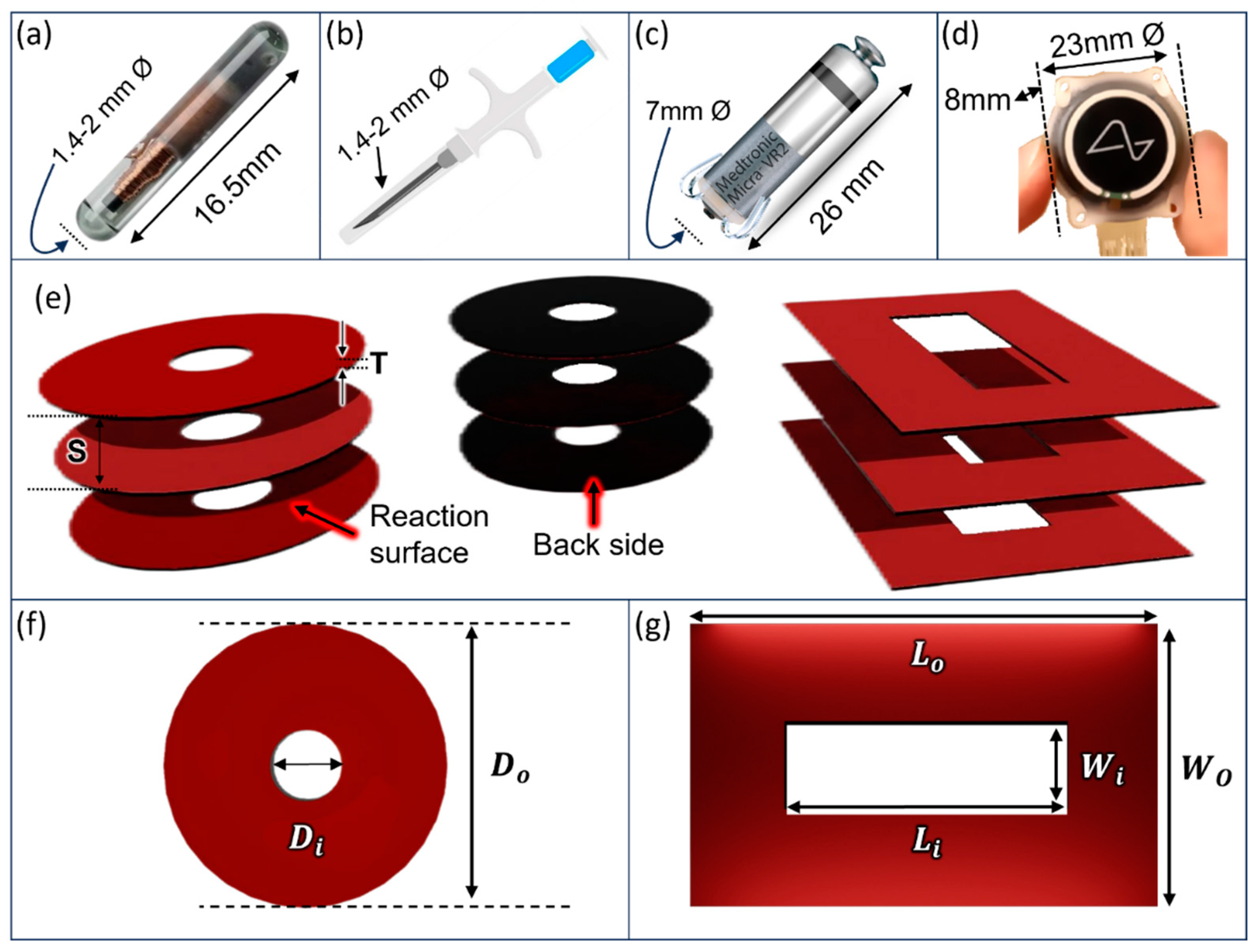 Preprints 174925 g006