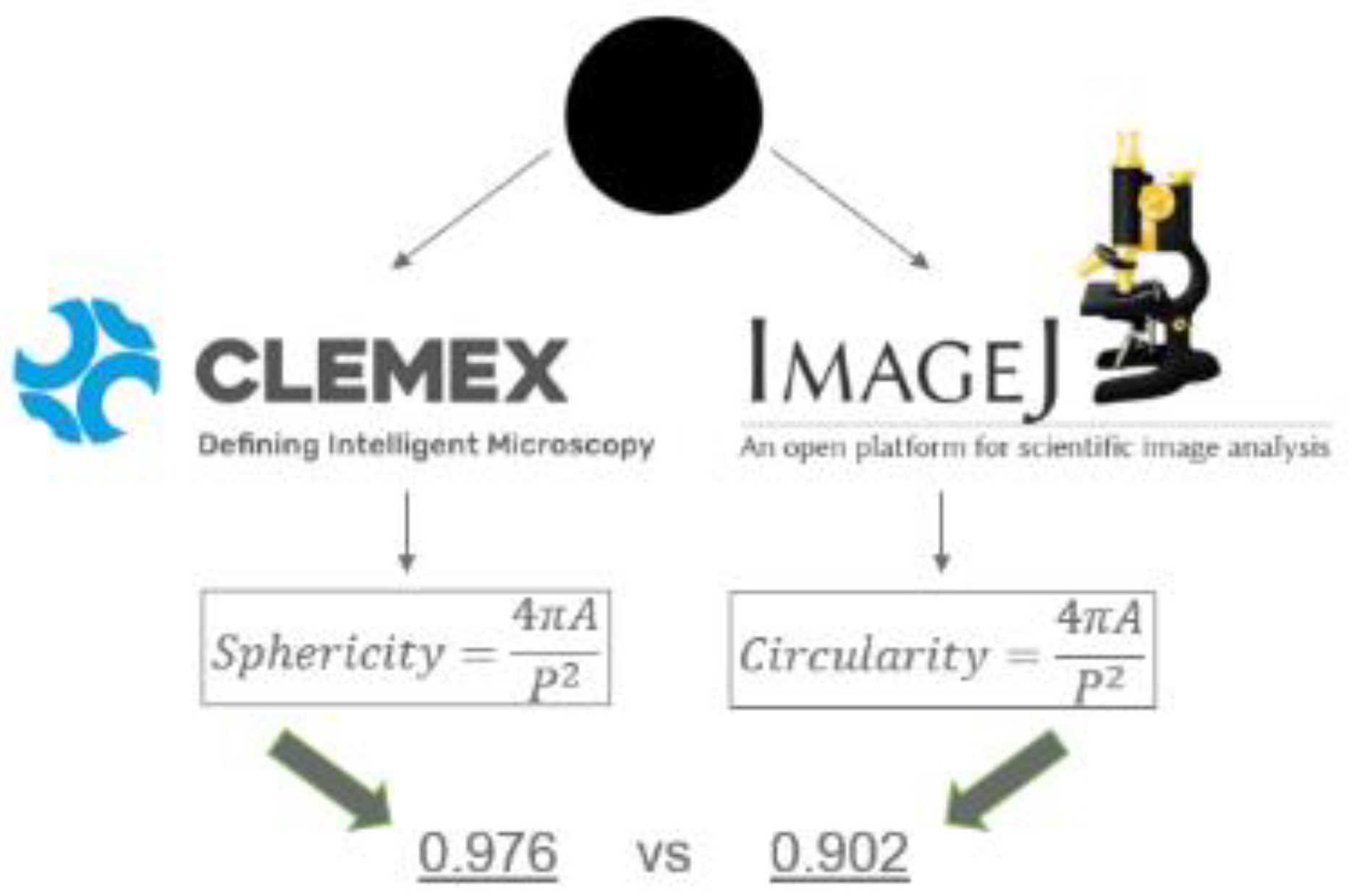 Preprints 153173 g001