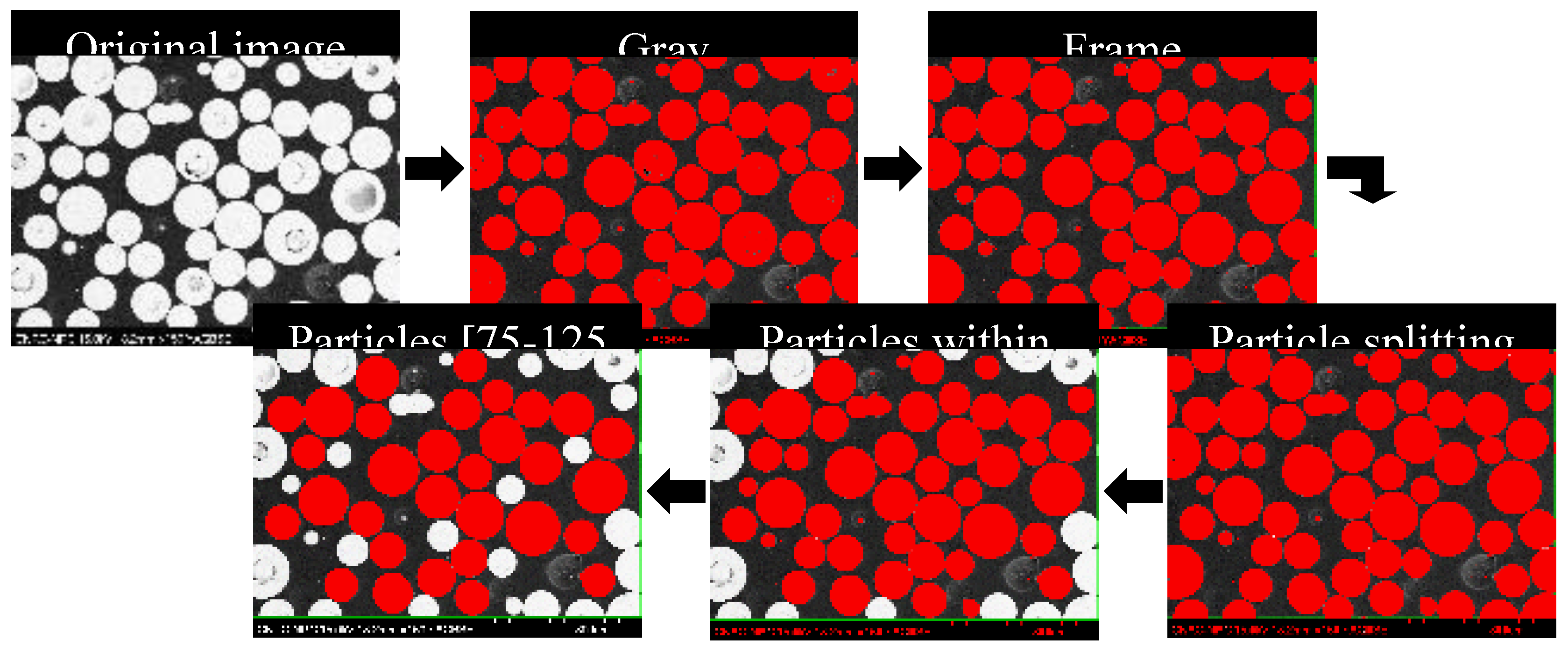 Preprints 153173 g005