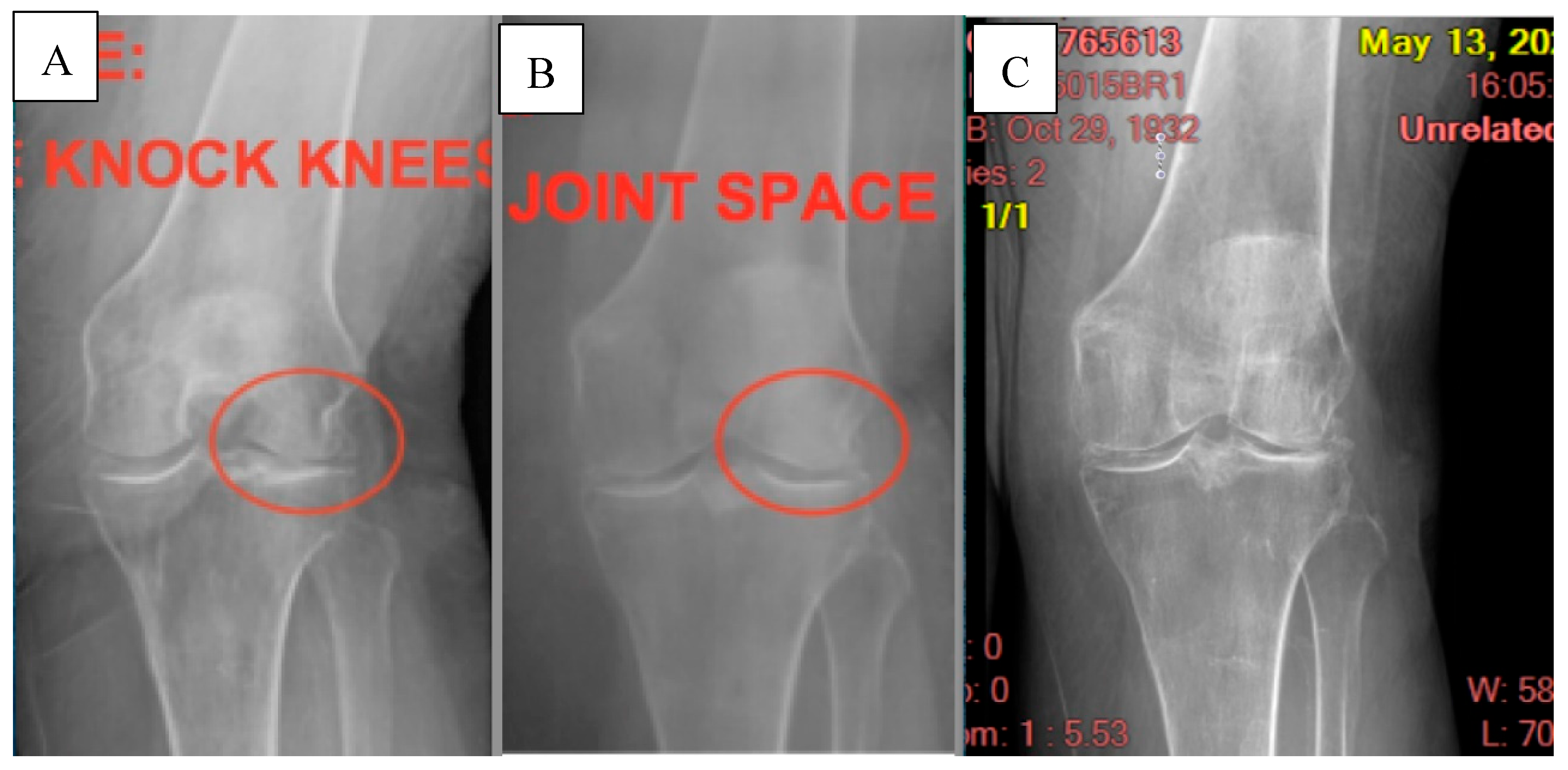 Preprints 161635 g001