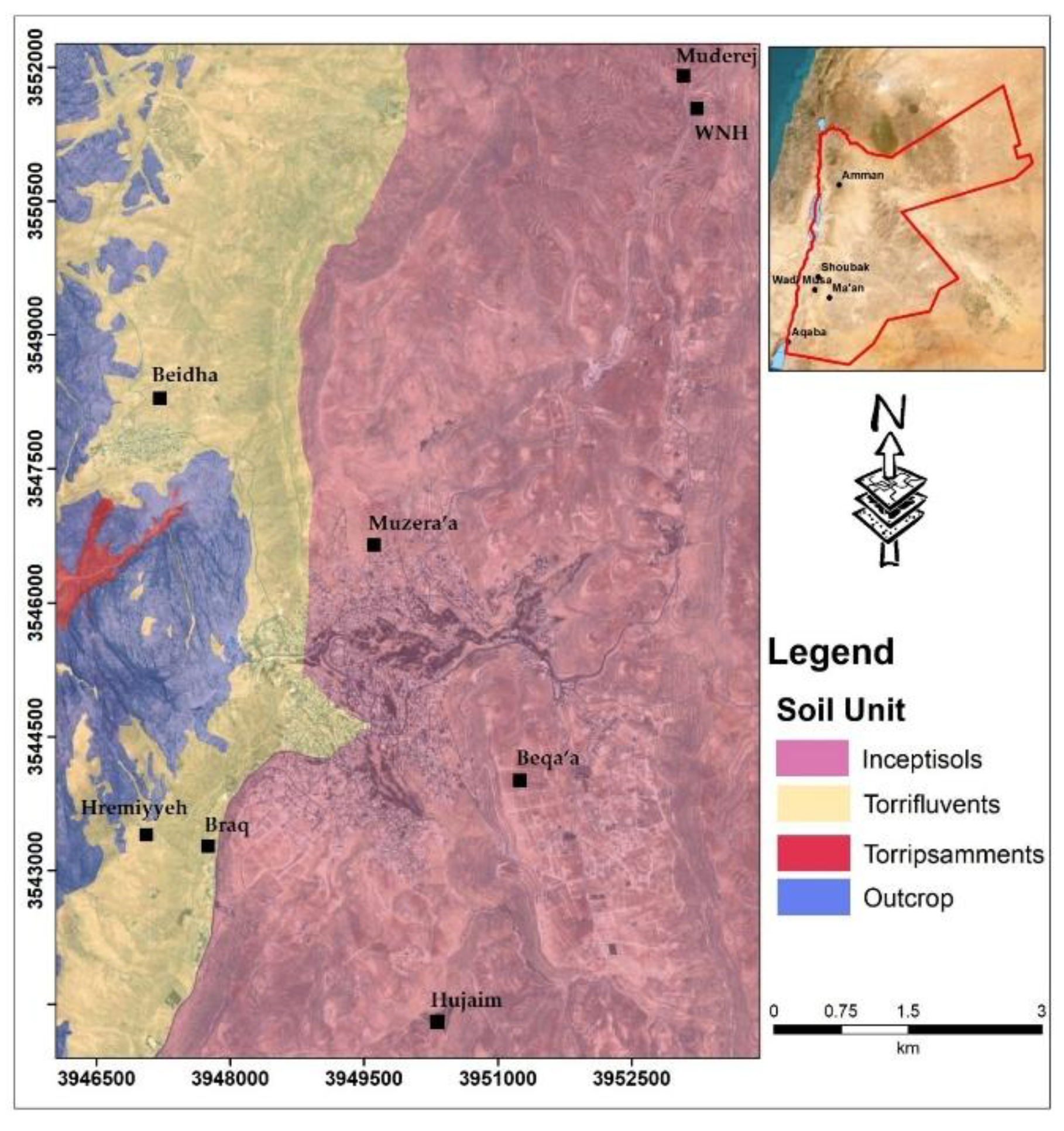 Preprints 190877 g002
