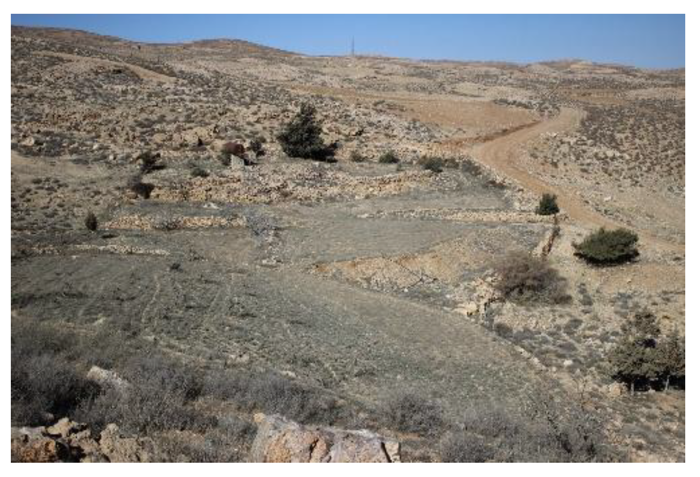 Preprints 190877 g004