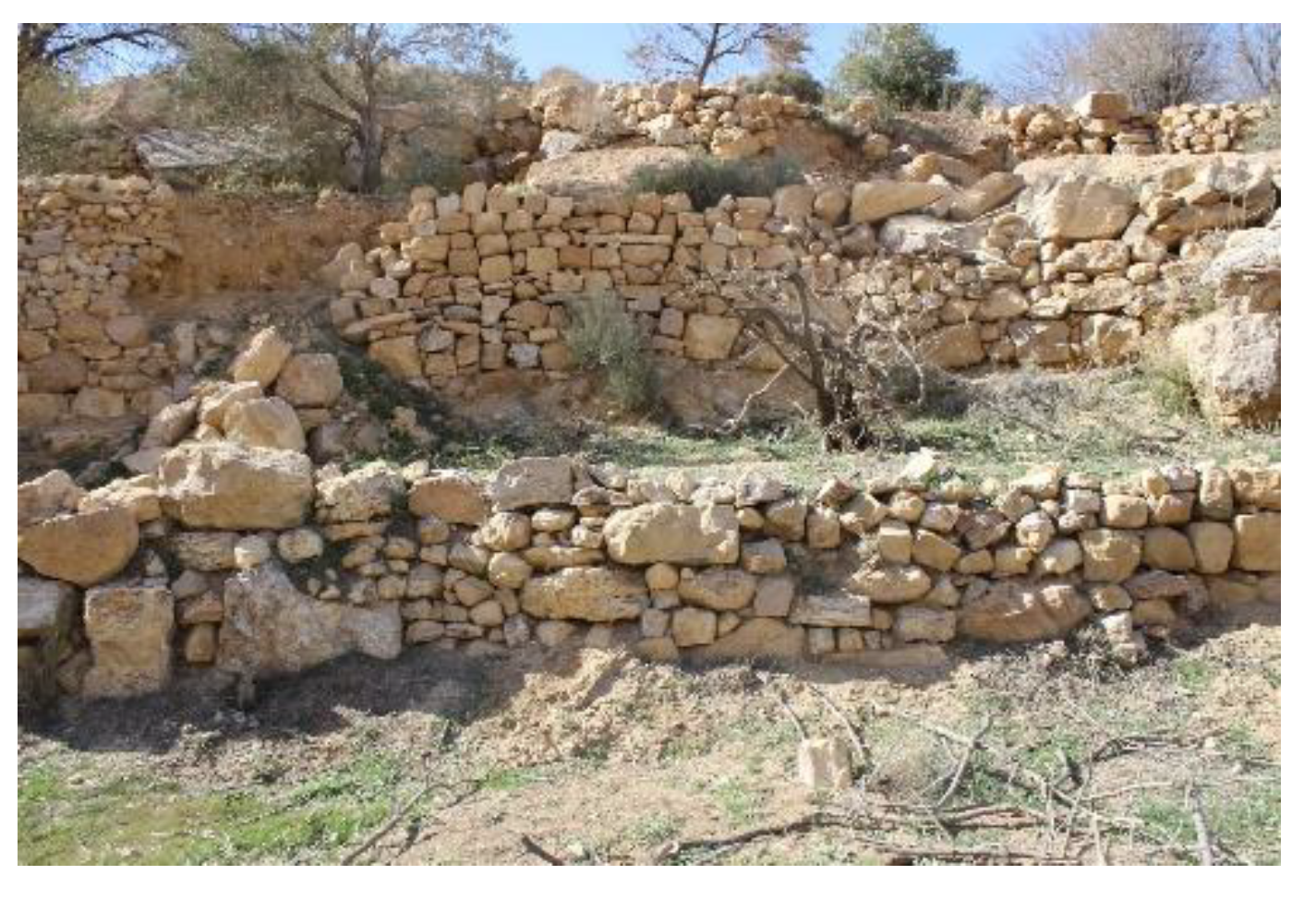 Preprints 190877 g005