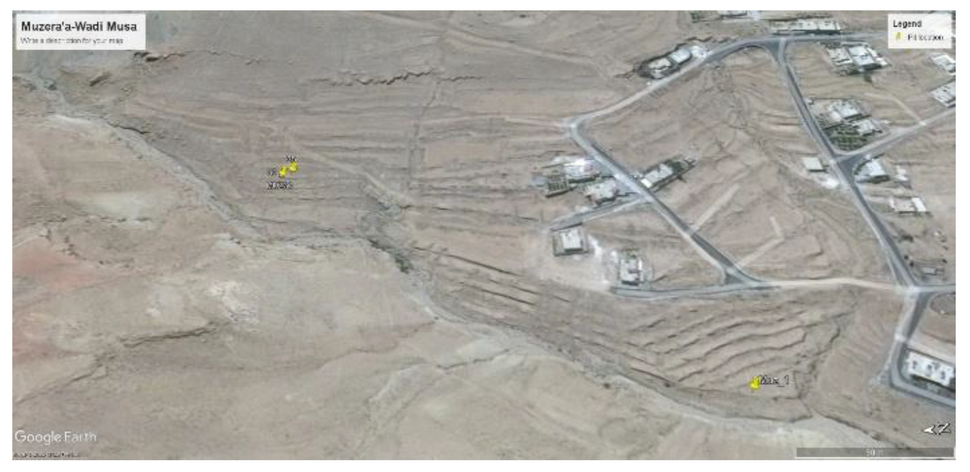 Preprints 190877 g006