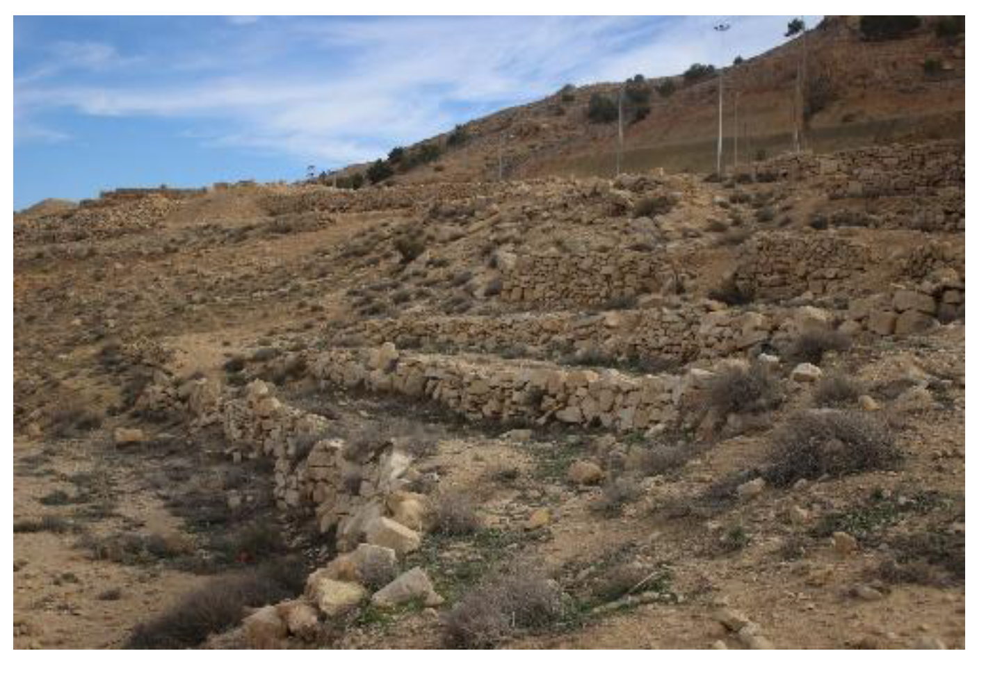 Preprints 190877 g007