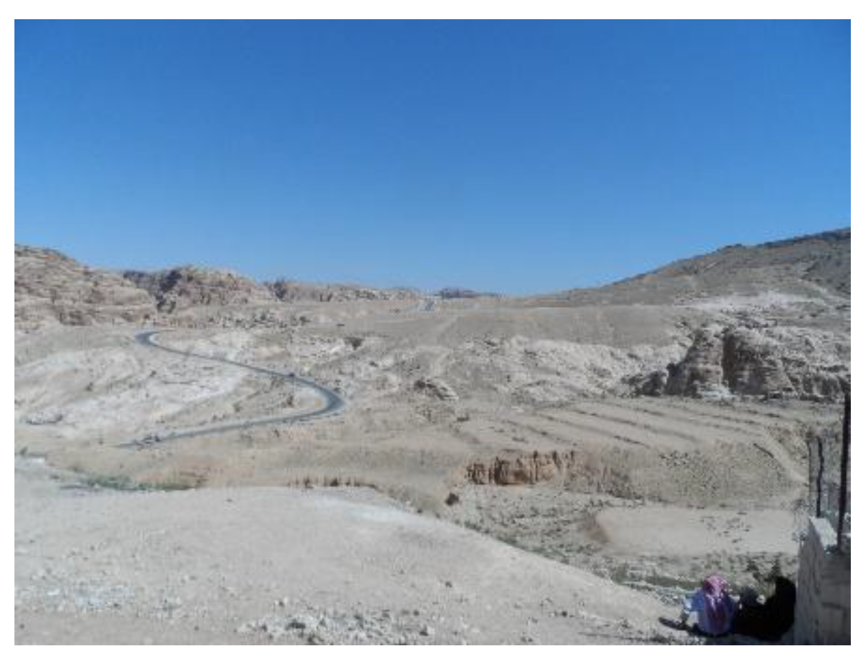 Preprints 190877 g009