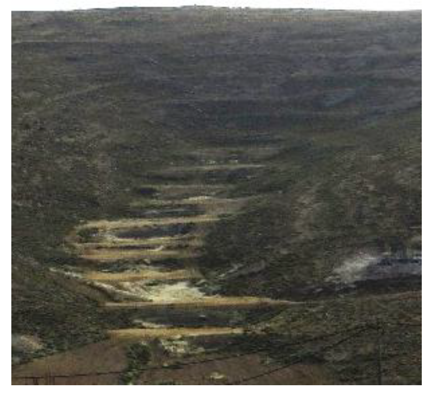 Preprints 190877 g010