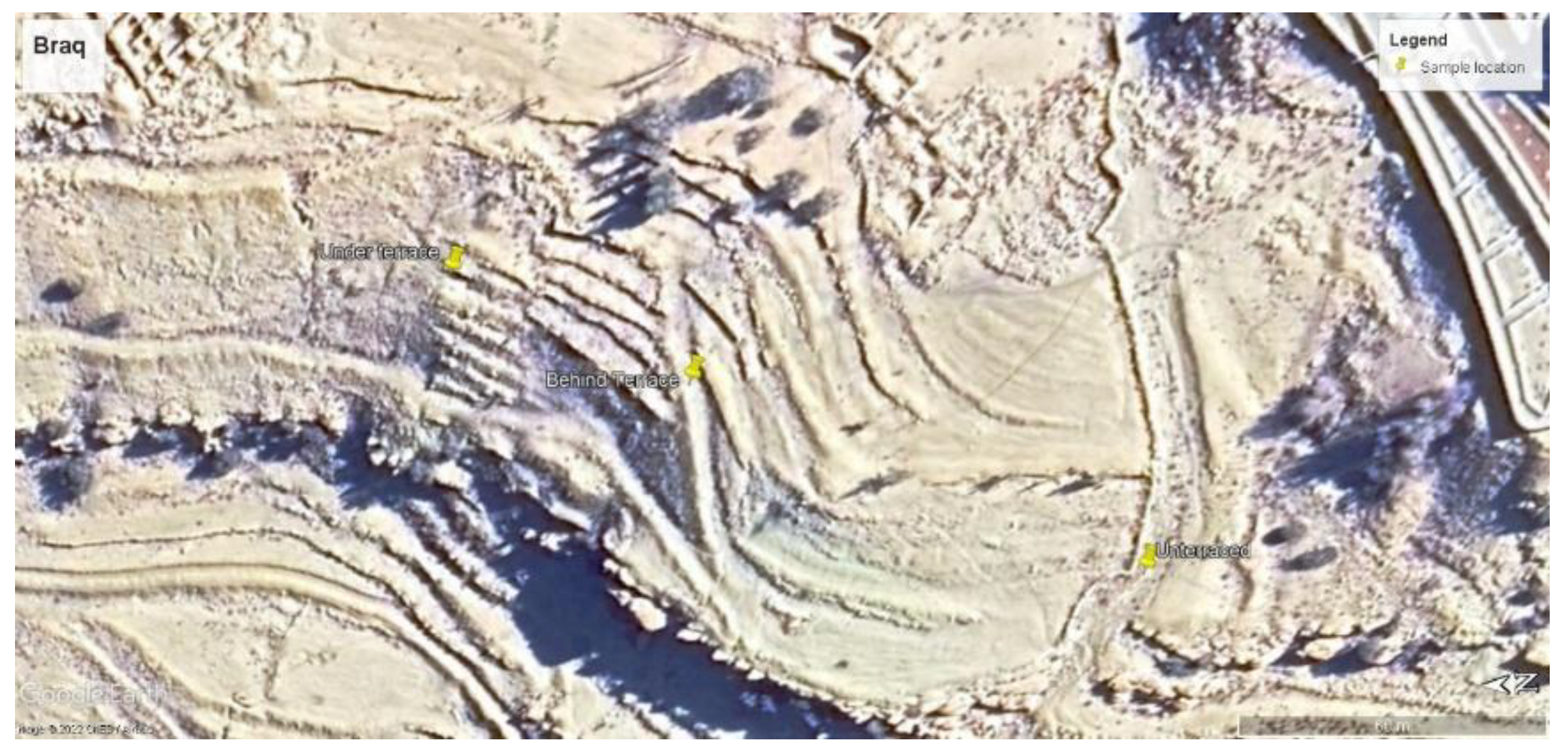 Preprints 190877 g012