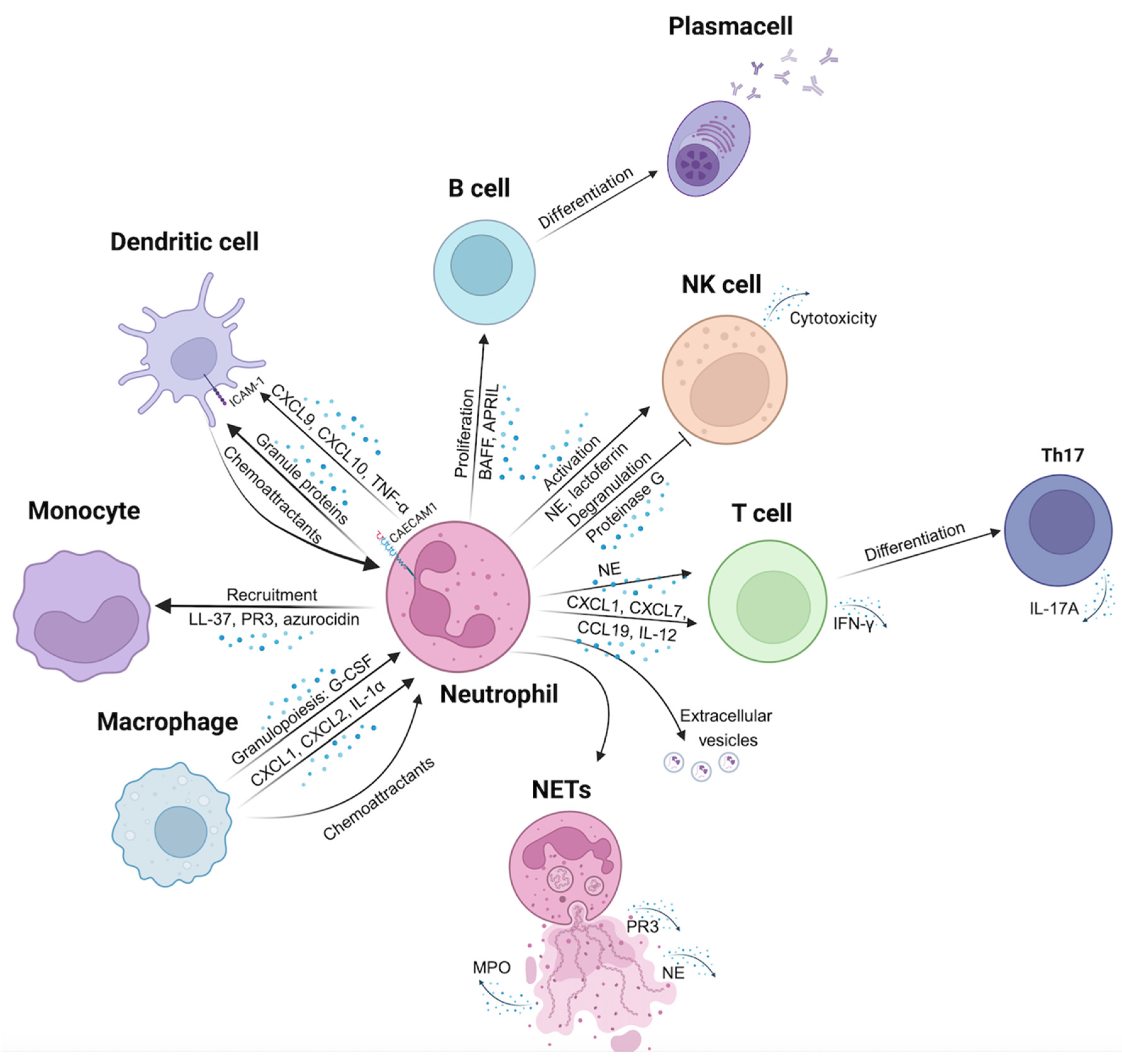 Preprints 151293 g001