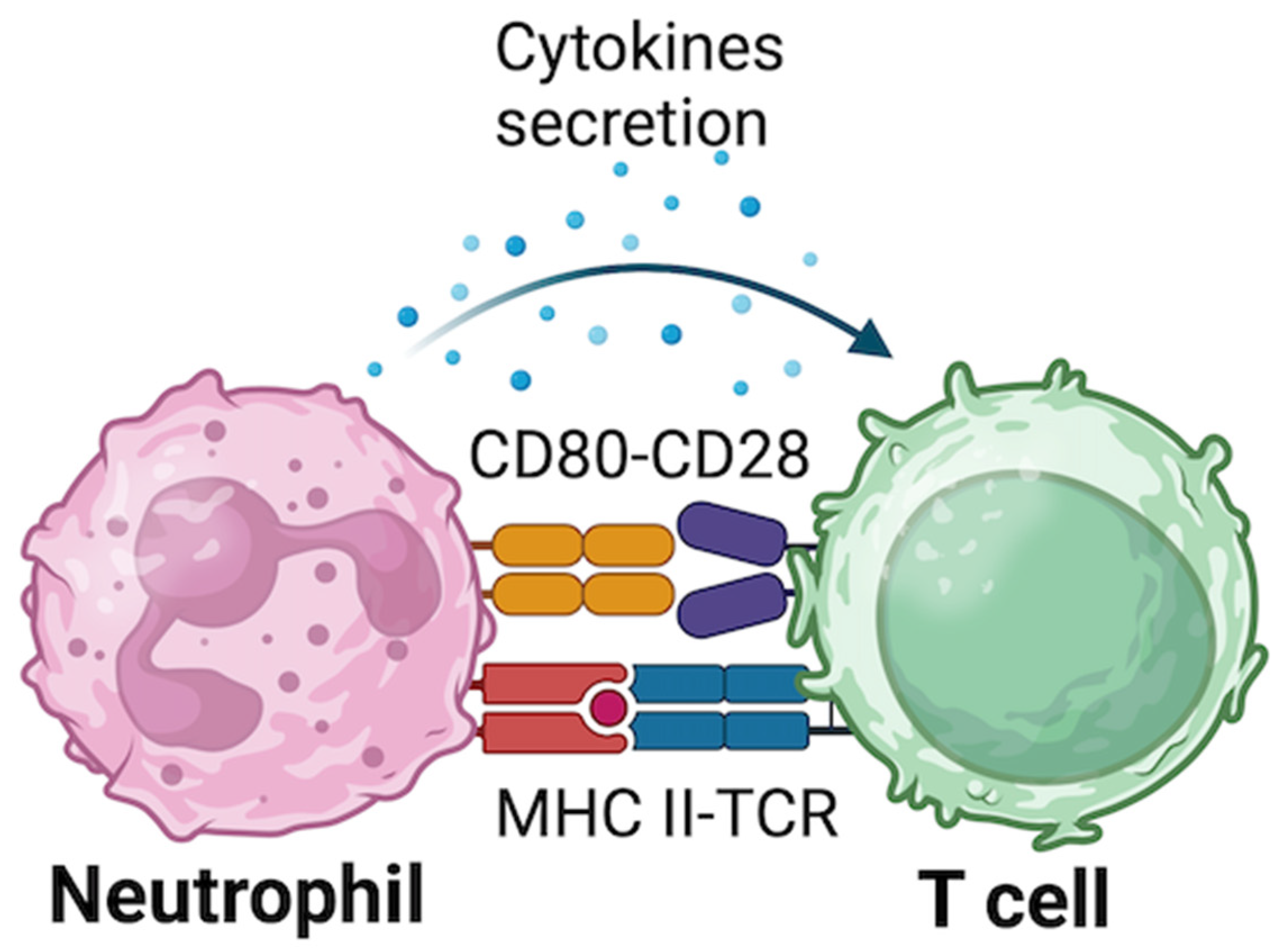 Preprints 151293 g002