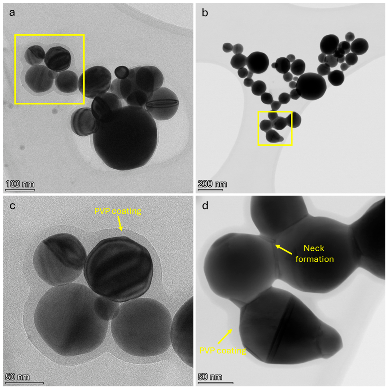 Preprints 237765 g004
