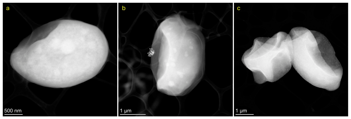 Preprints 237765 g007