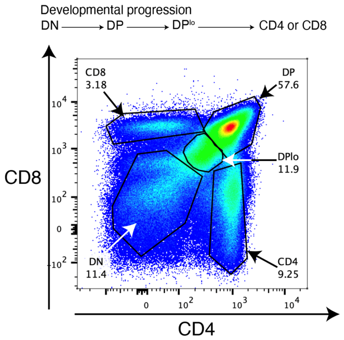 Preprints 231214 g001