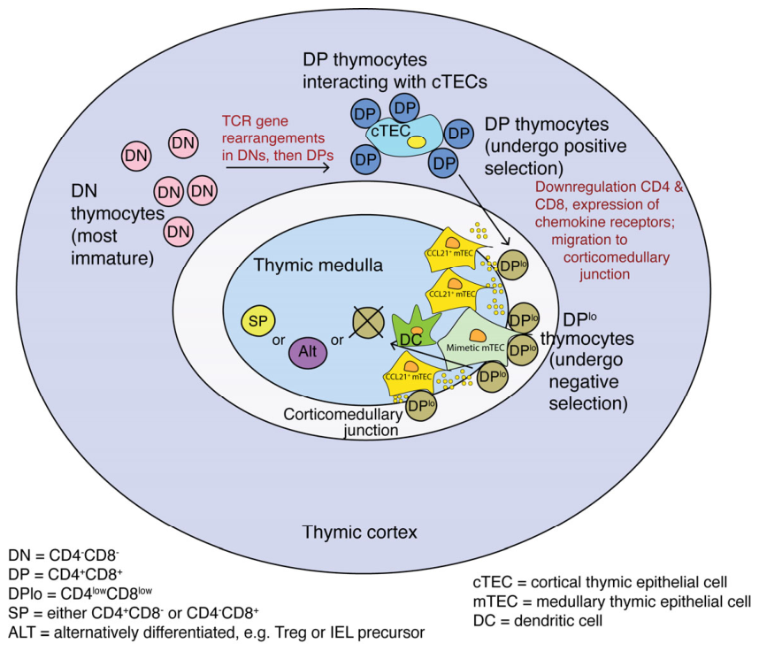 Preprints 231214 g002