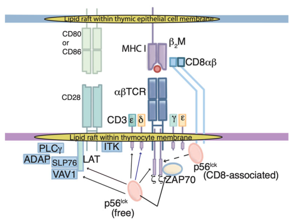 Preprints 231214 g003