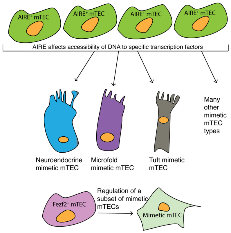 Preprints 231214 g005