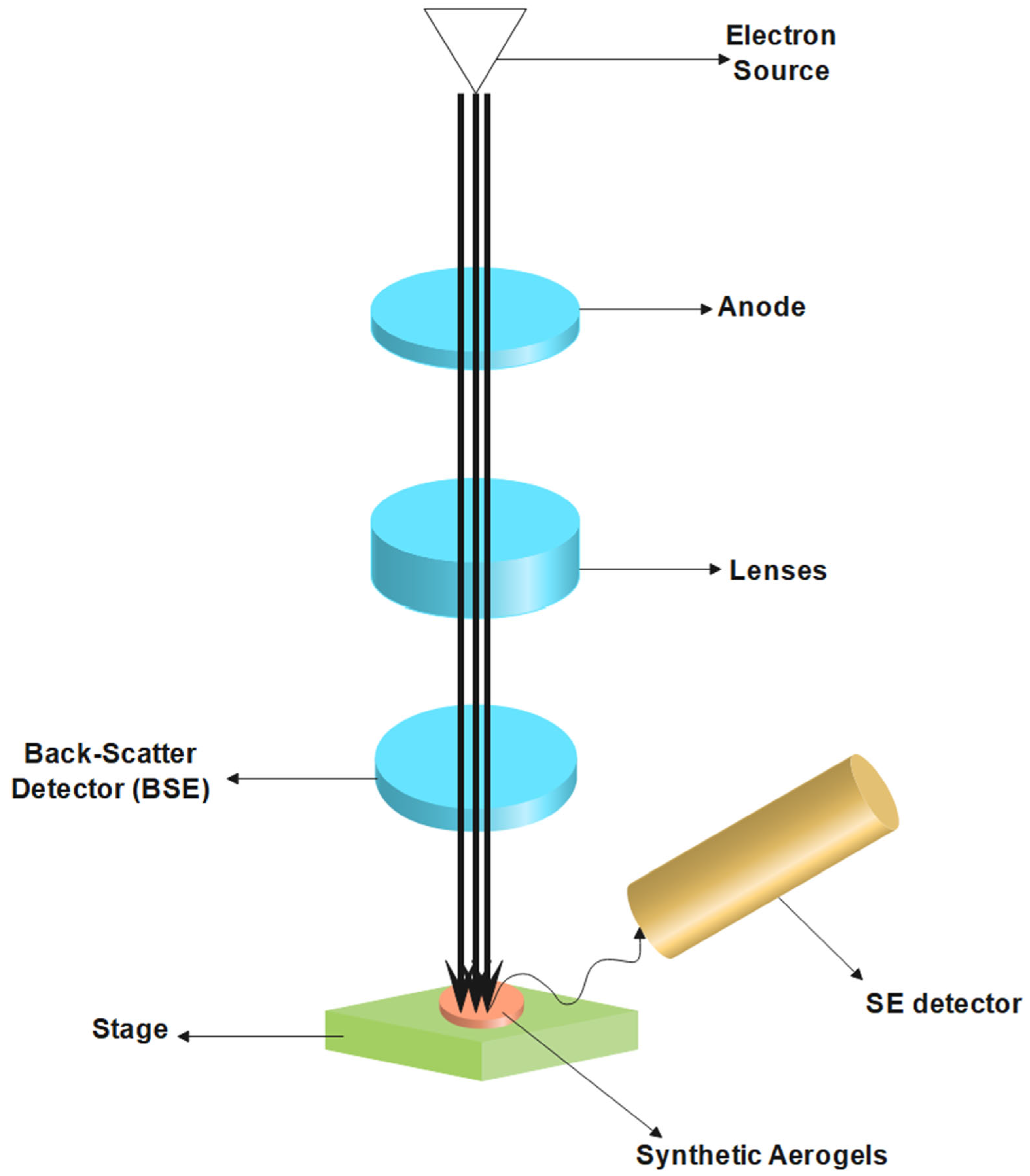 Preprints 161208 g010