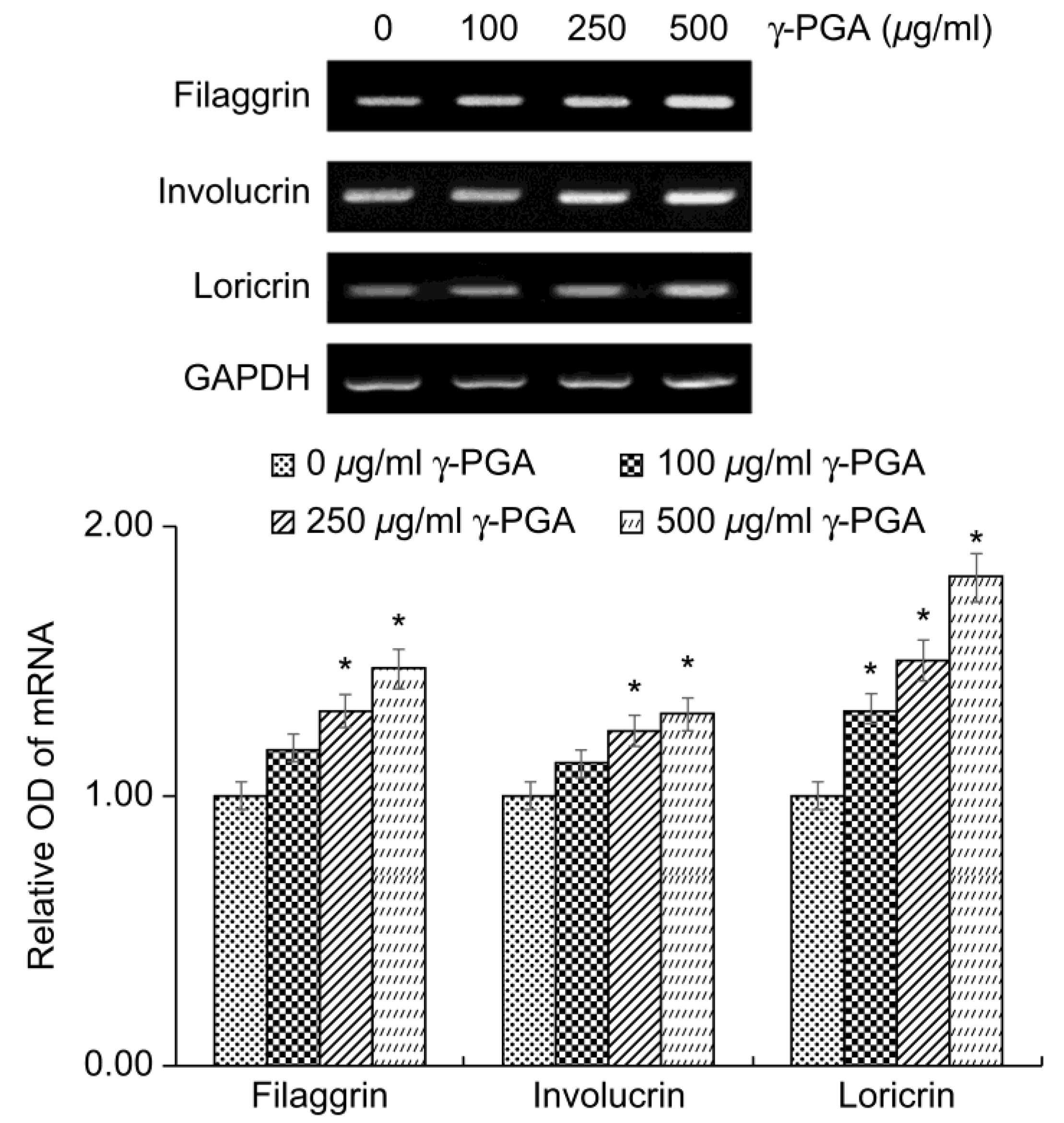 Preprints 143200 g003
