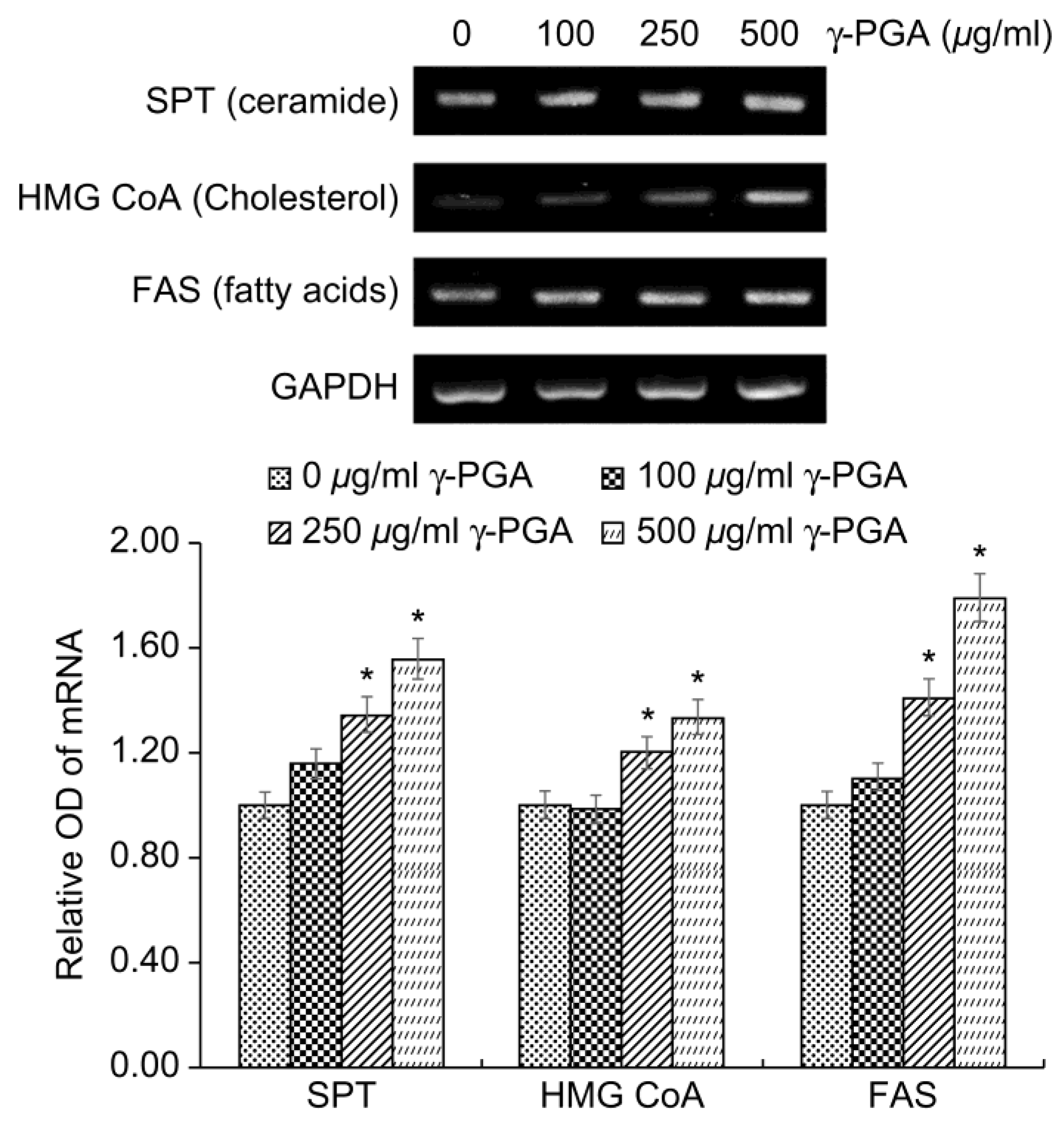 Preprints 143200 g004