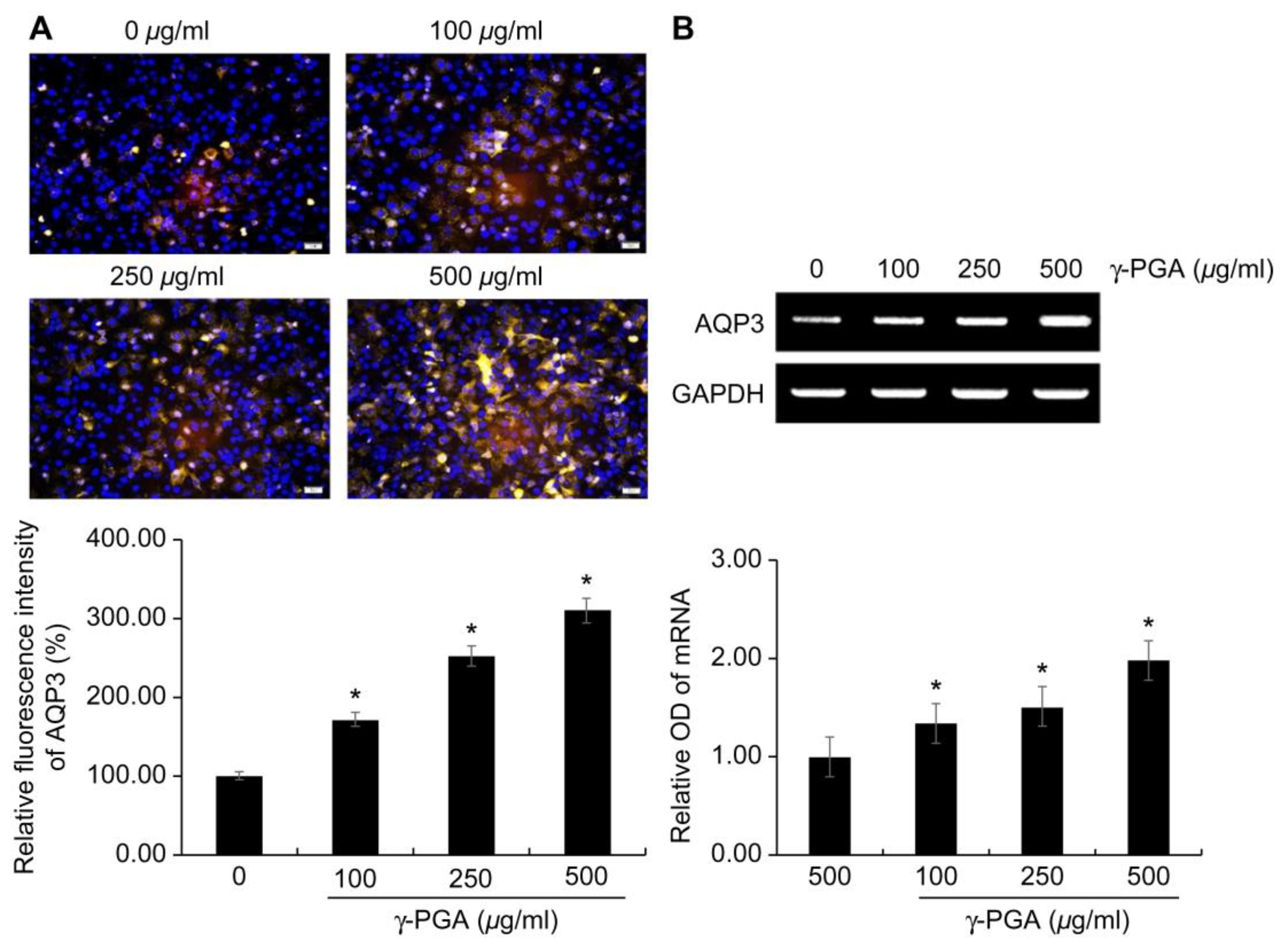 Preprints 143200 g006