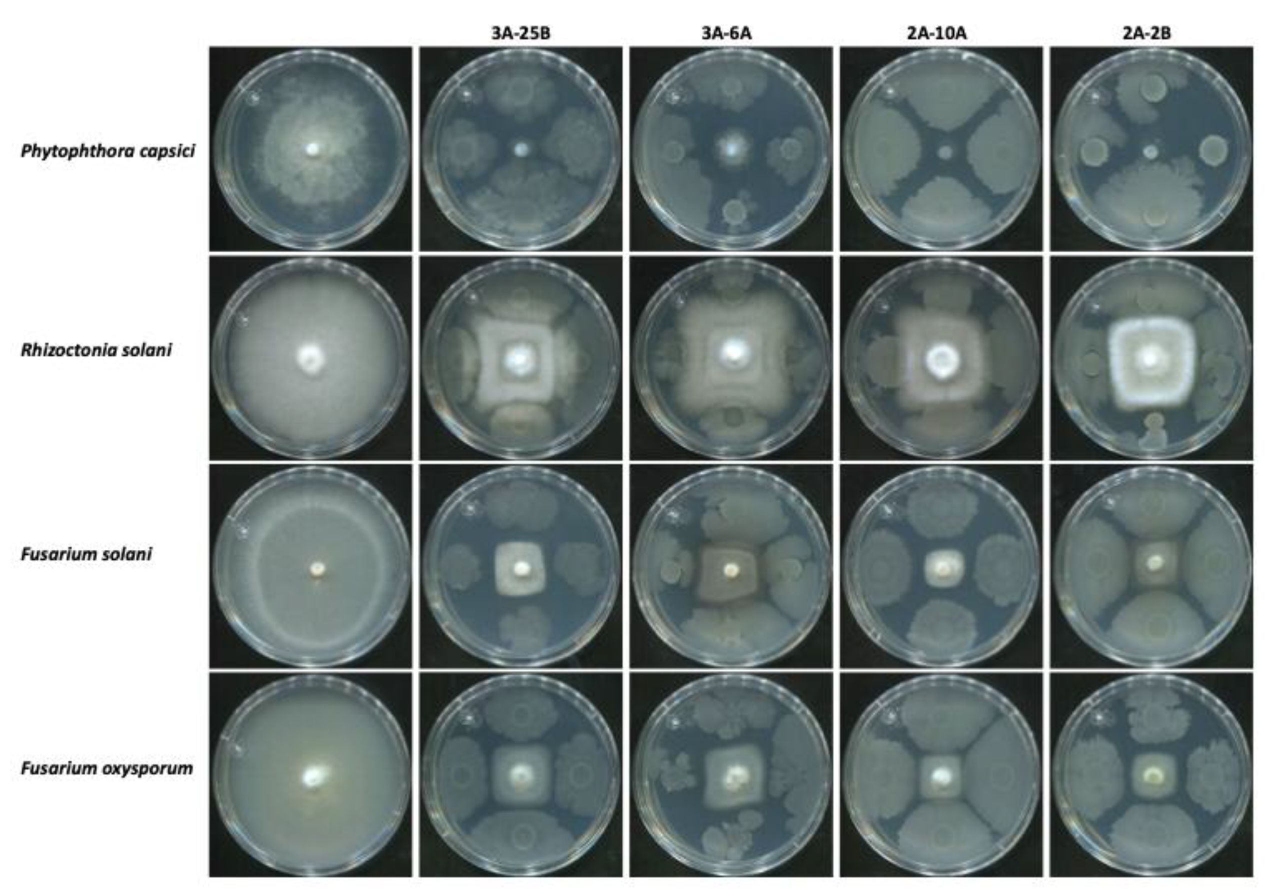 Preprints 210987 g001