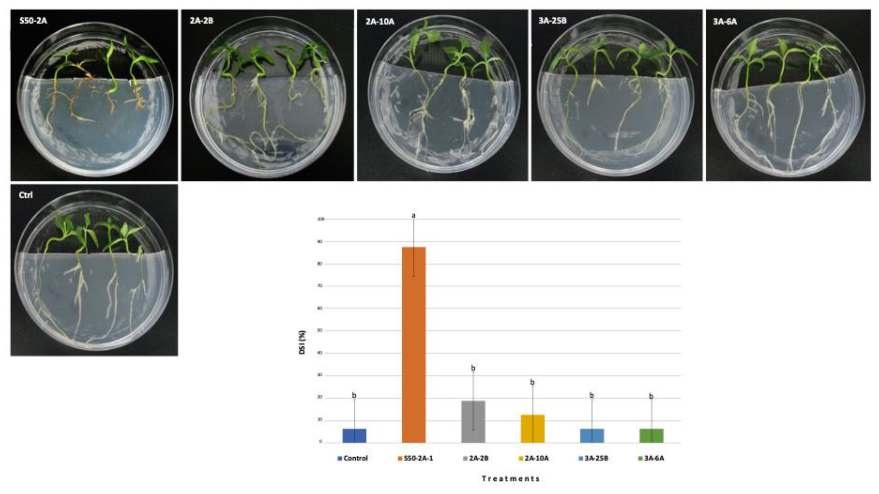 Preprints 210987 g003