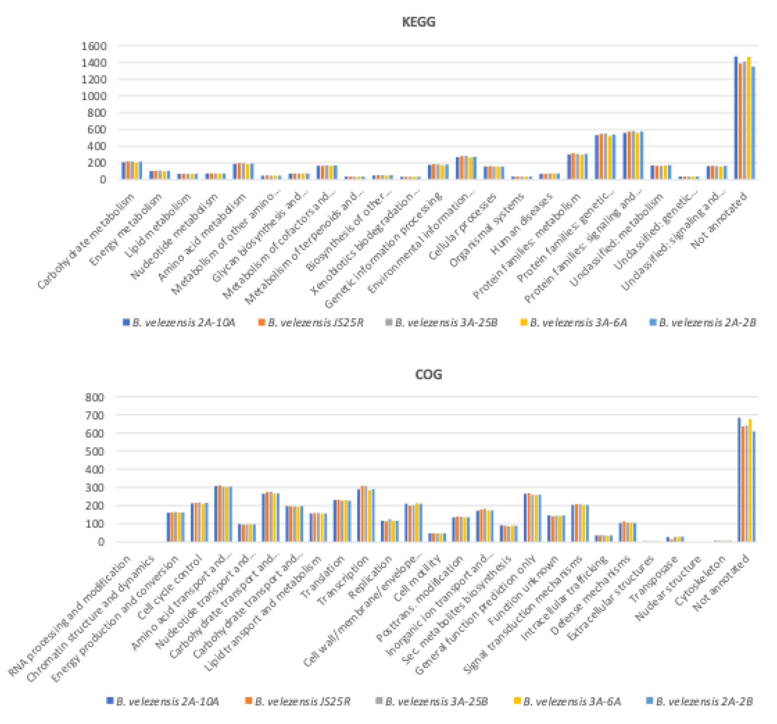 Preprints 210987 g006