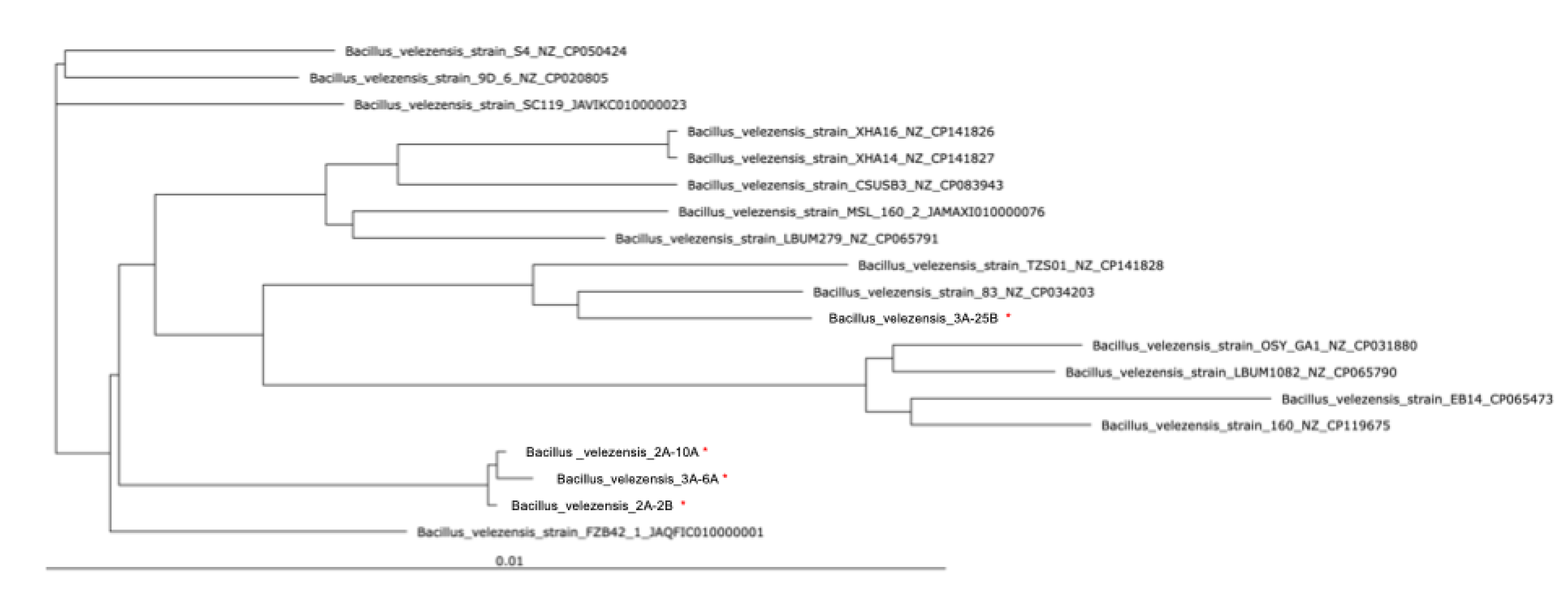 Preprints 210987 g008
