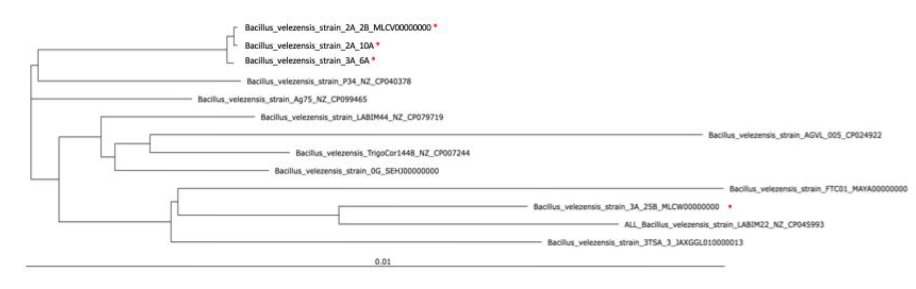 Preprints 210987 g010