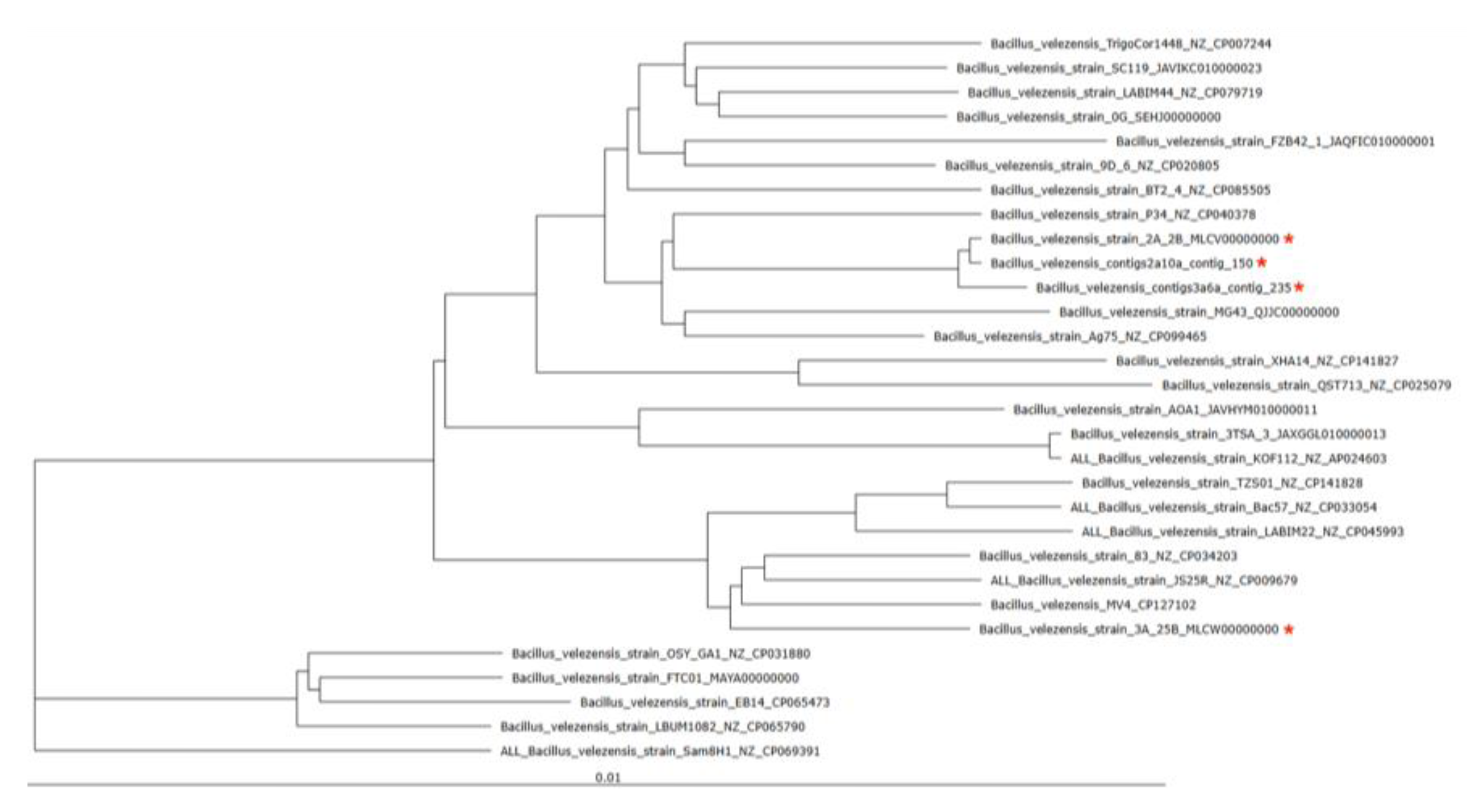 Preprints 210987 g013