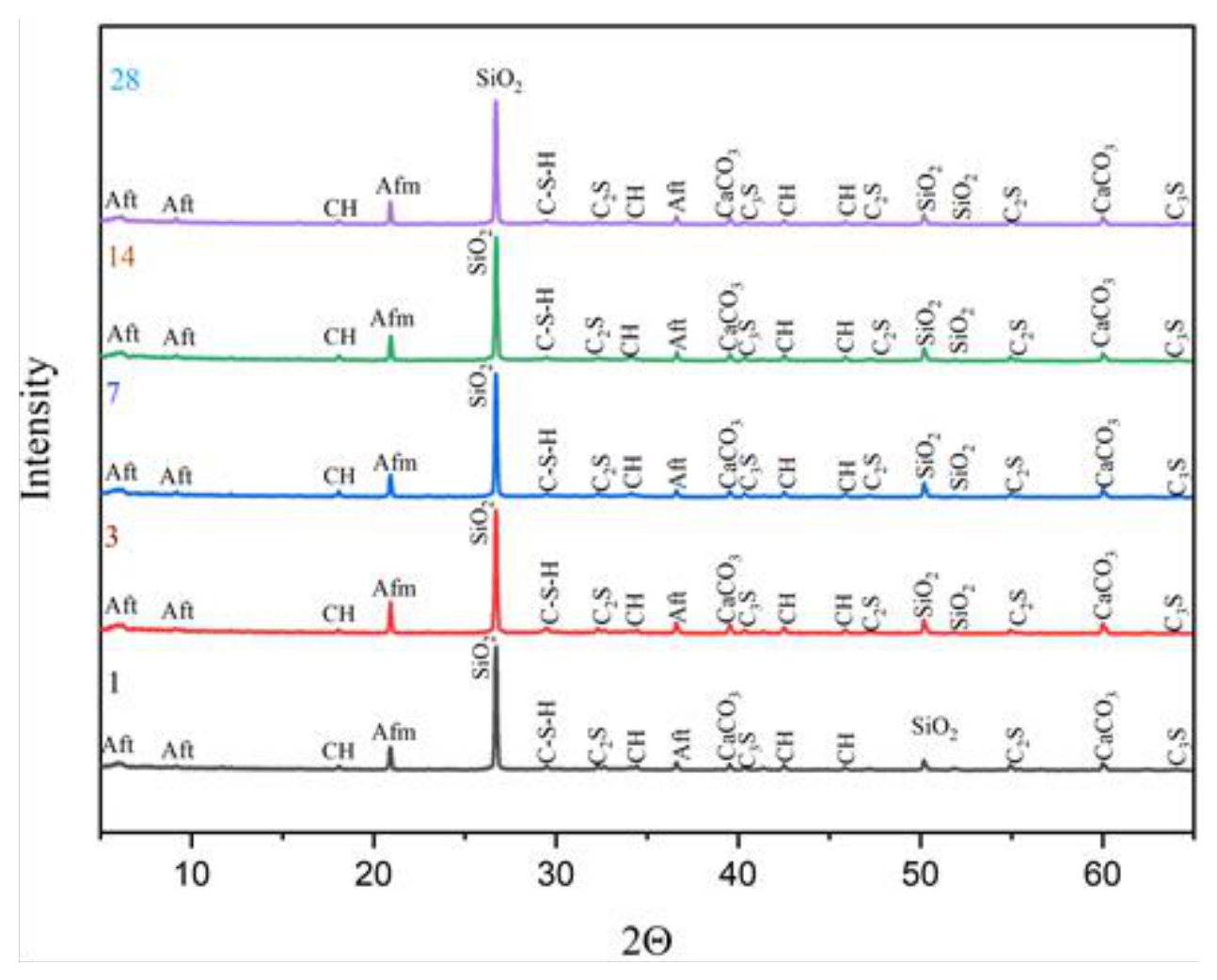 Preprints 220276 g006