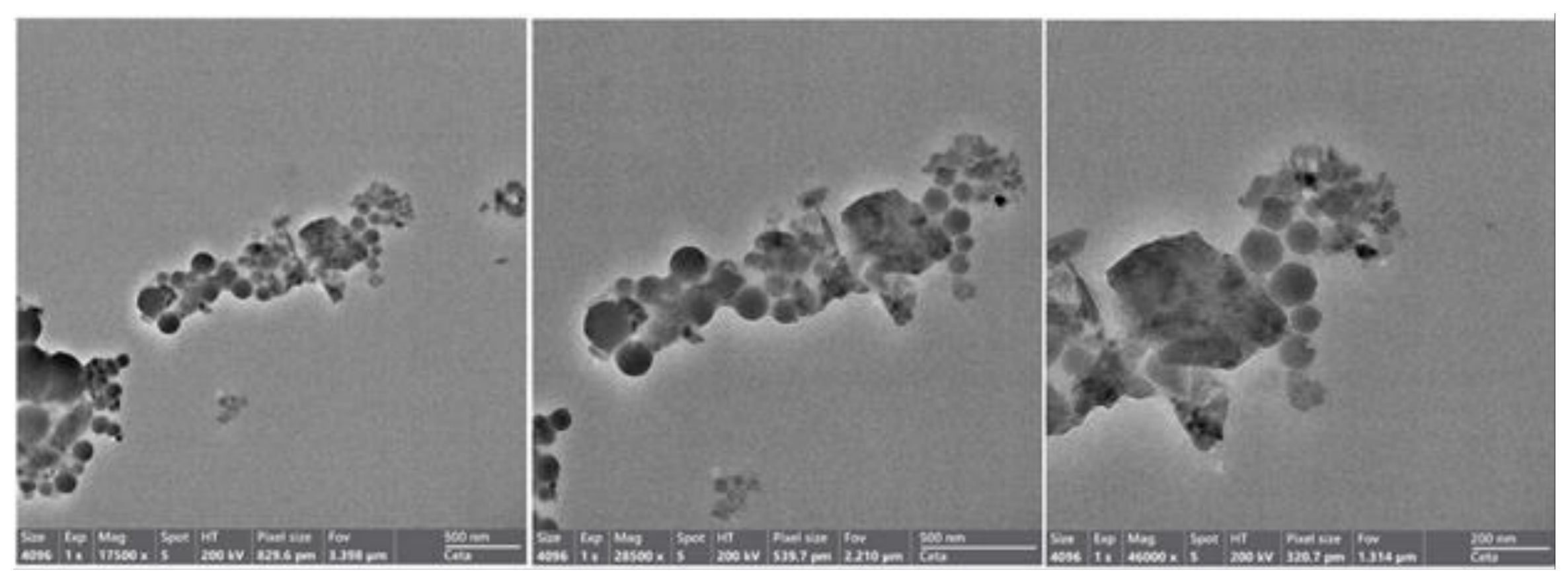 Preprints 220276 g008