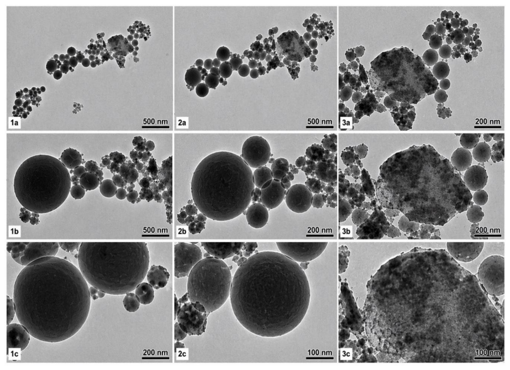 Preprints 220276 g009a