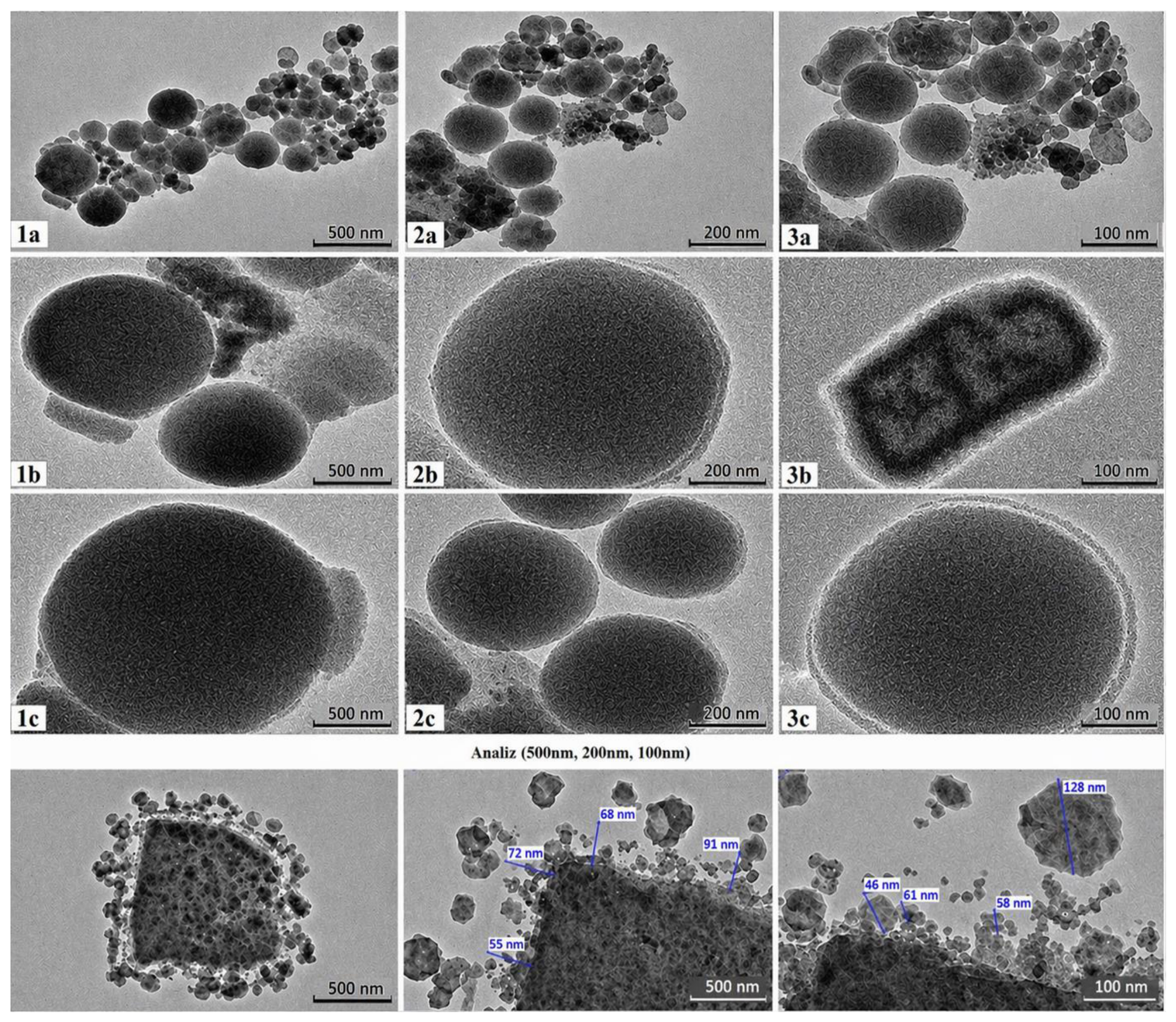 Preprints 220276 g009b